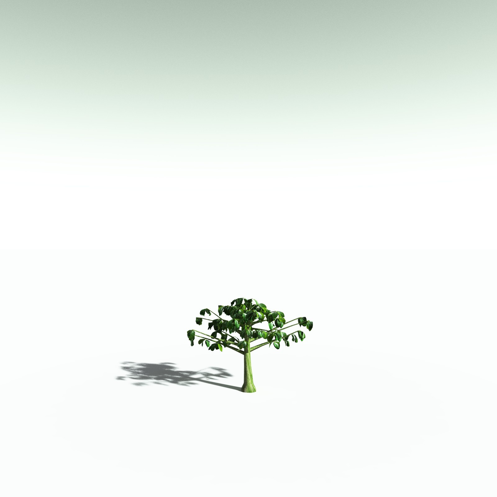 EVERYPlant Banyan Tree for Poser by N/A