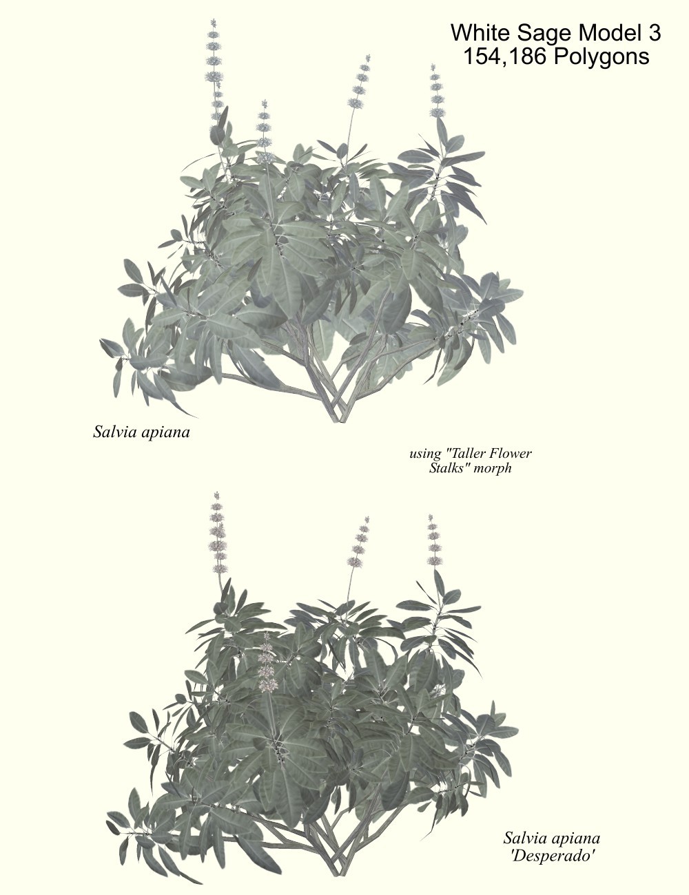 Butterfly Garden by N/A