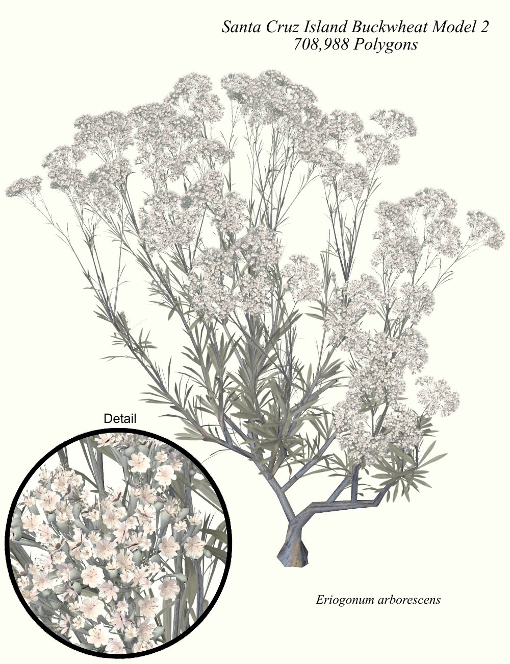 Butterfly Garden by N/A