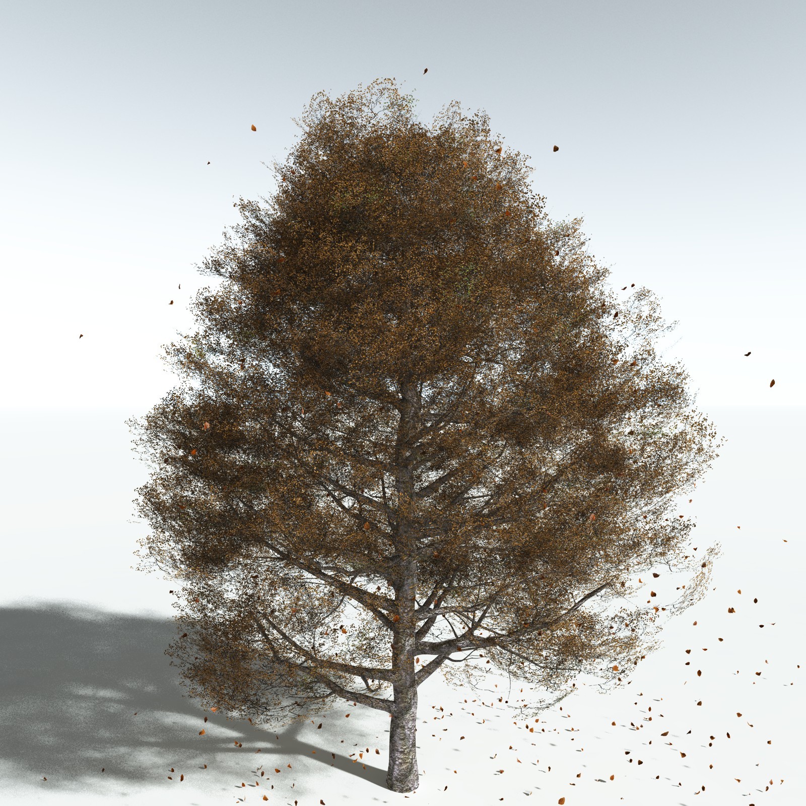 EVERYPlant Red Alder for Vue by N/A