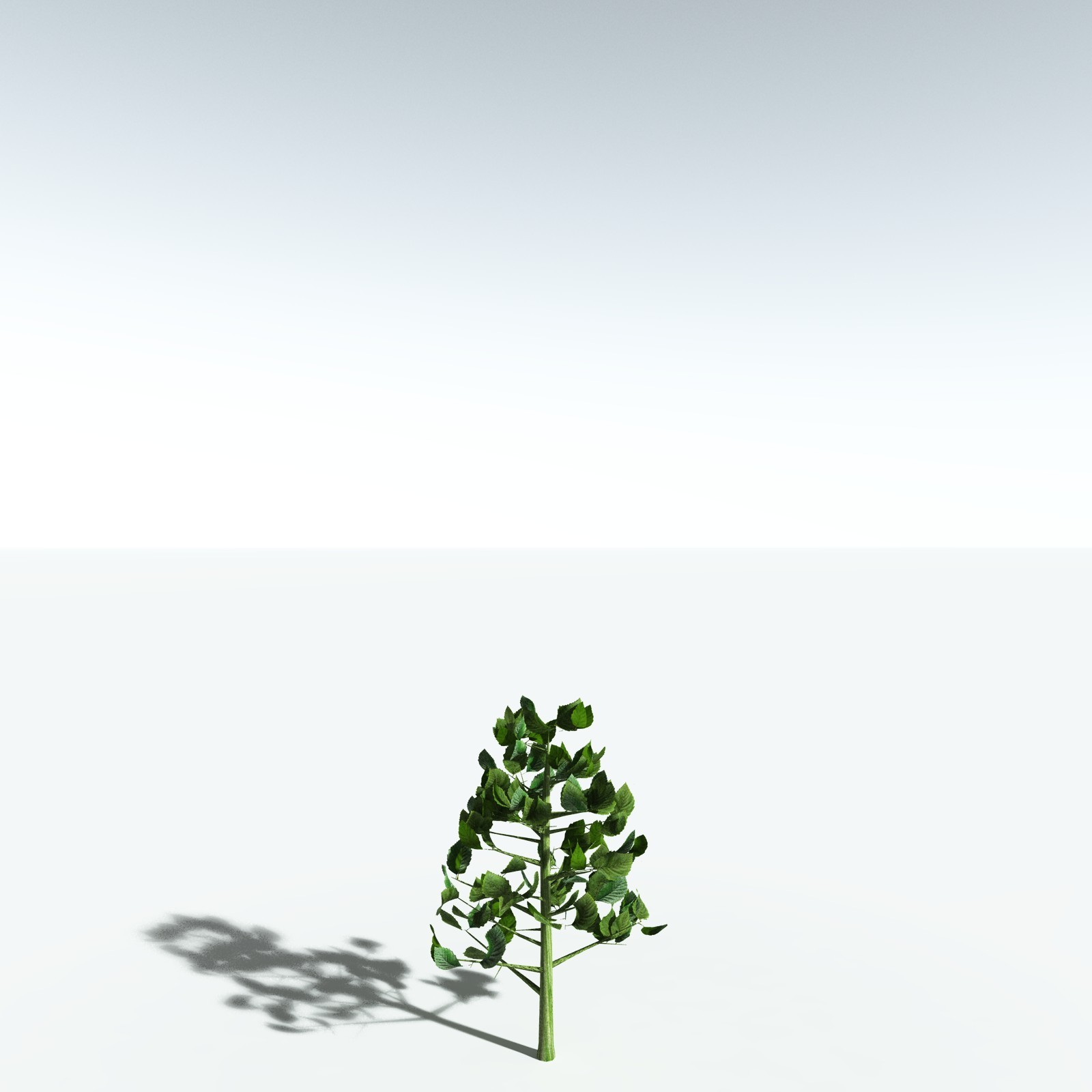 EVERYPlant Red Alder for Vue by N/A