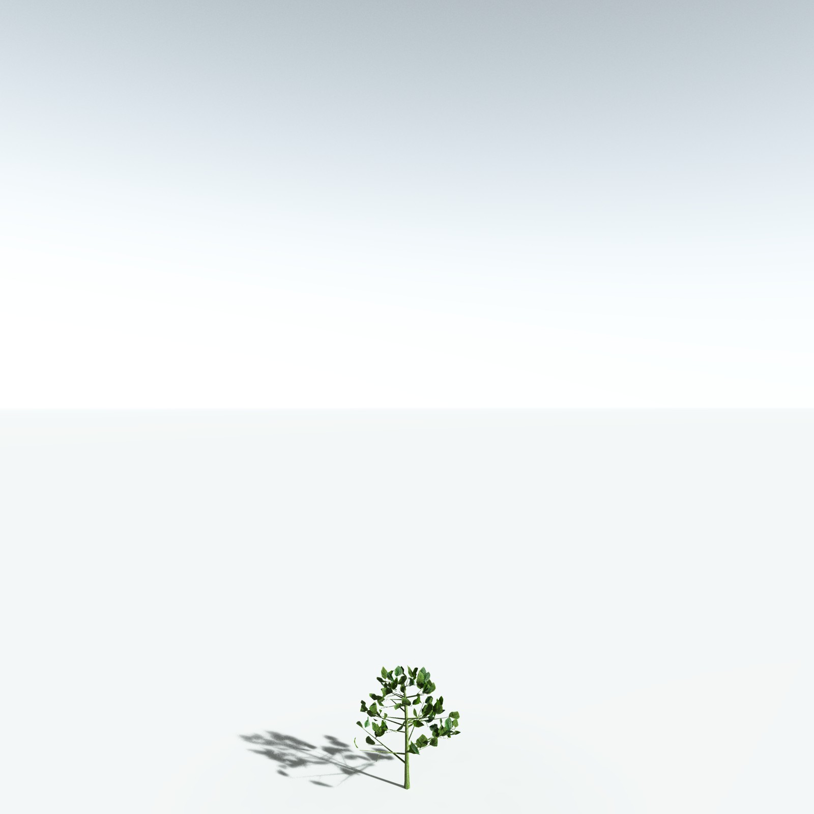 EVERYPlant Red Alder for Vue by N/A