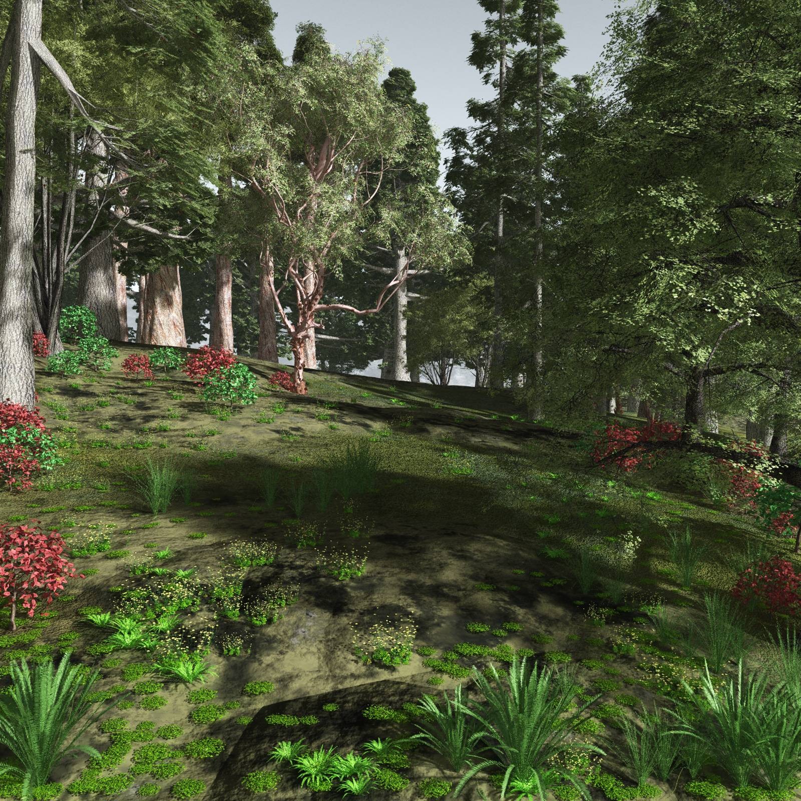 EVERYPlant Redwood Forest Biome for Vue by N/A