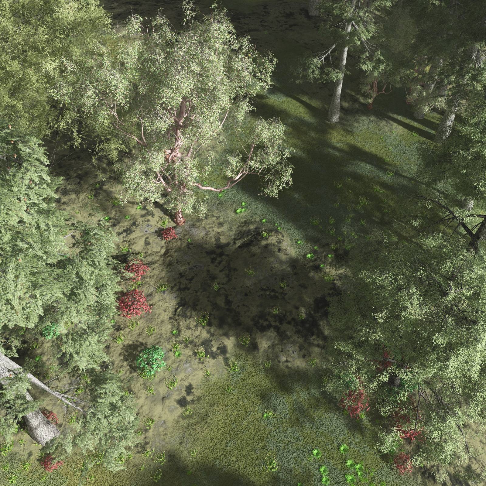 EVERYPlant Redwood Forest Biome for Vue by N/A