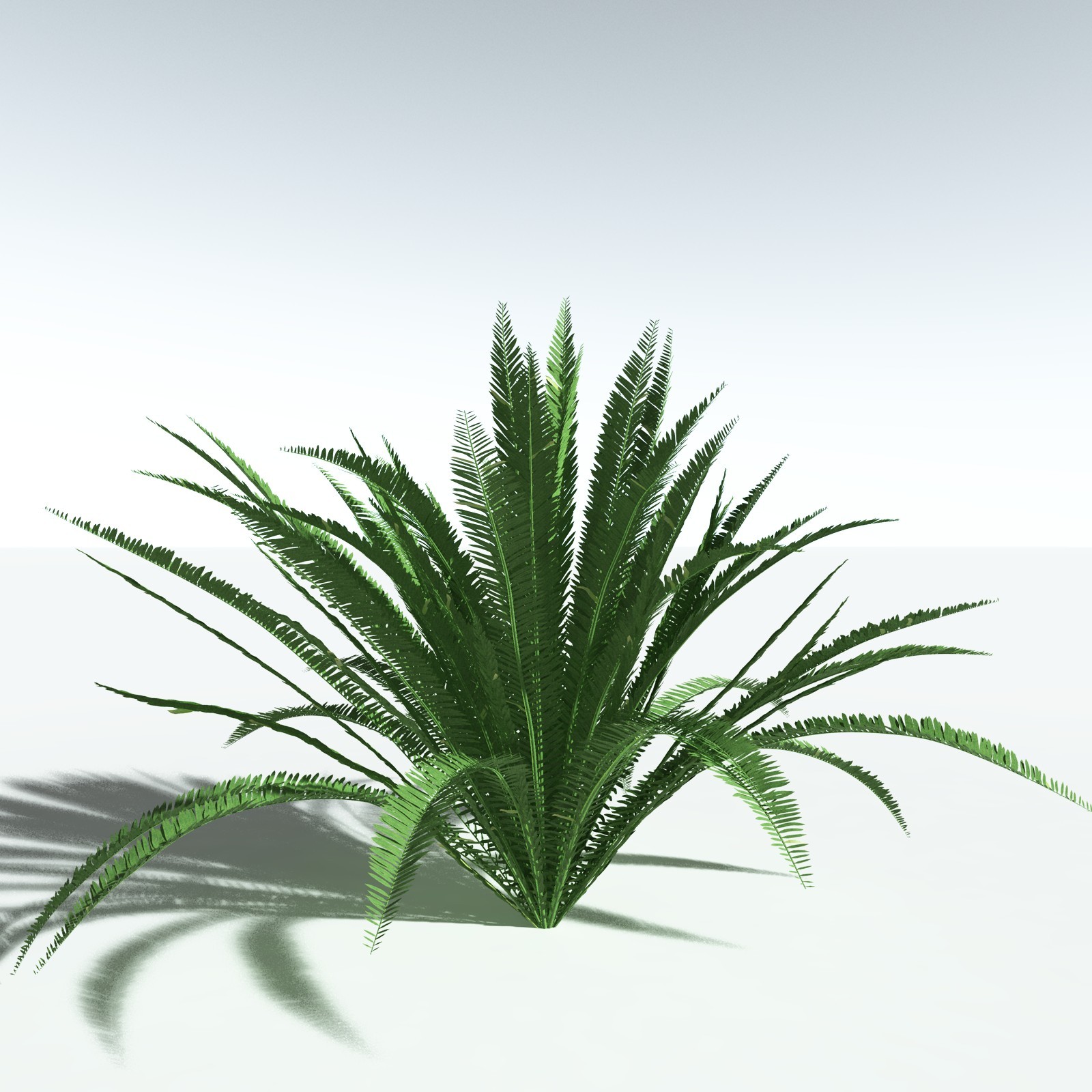 EVERYPlant Redwood Forest Biome for Vue by N/A