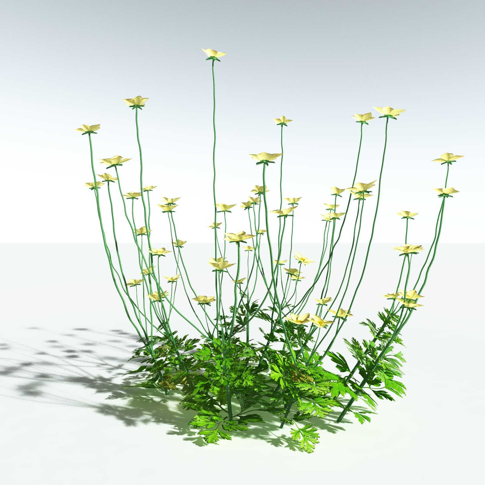 EVERYPlant Redwood Forest Biome for Vue by N/A