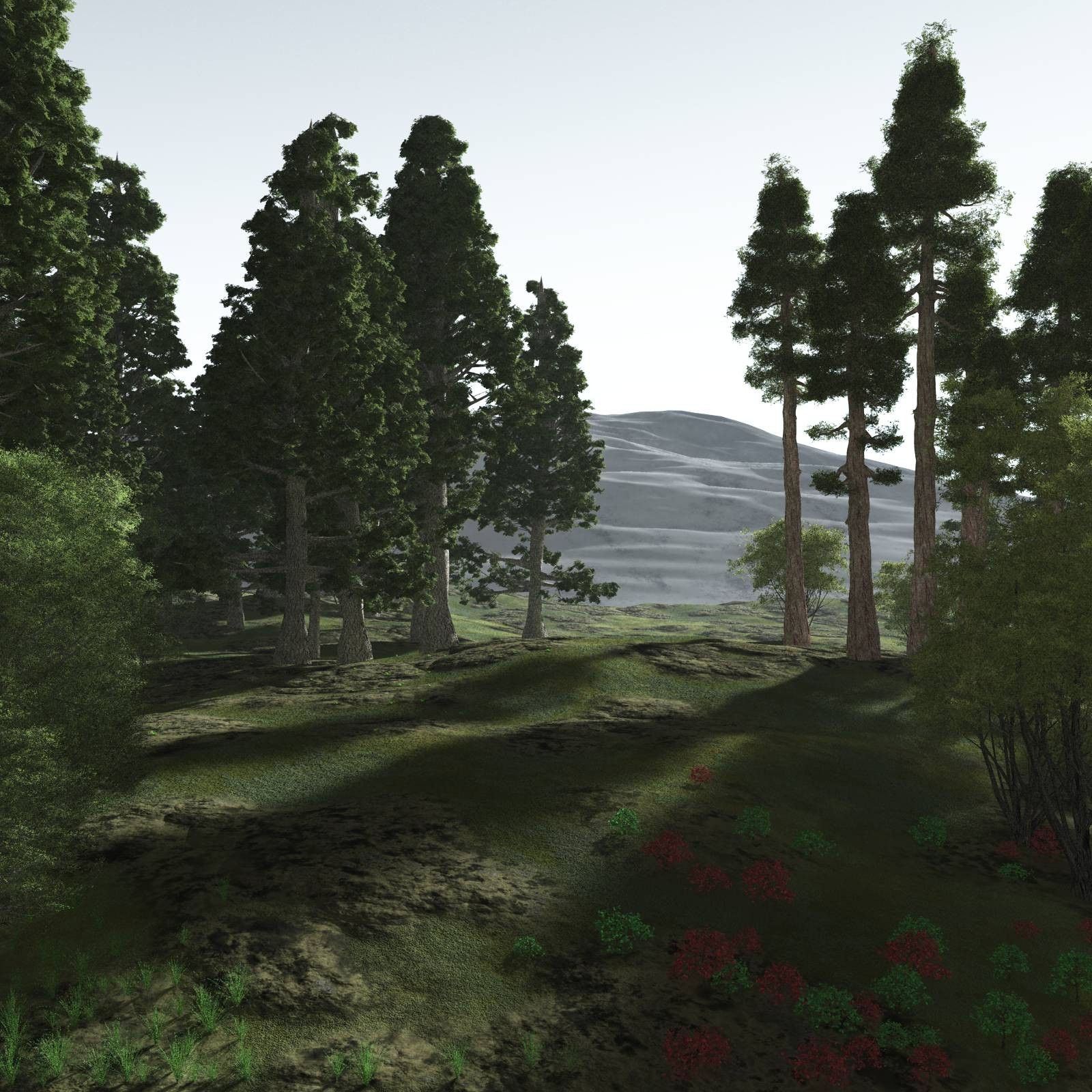 EVERYPlant Redwood Forest Biome for Poser by N/A