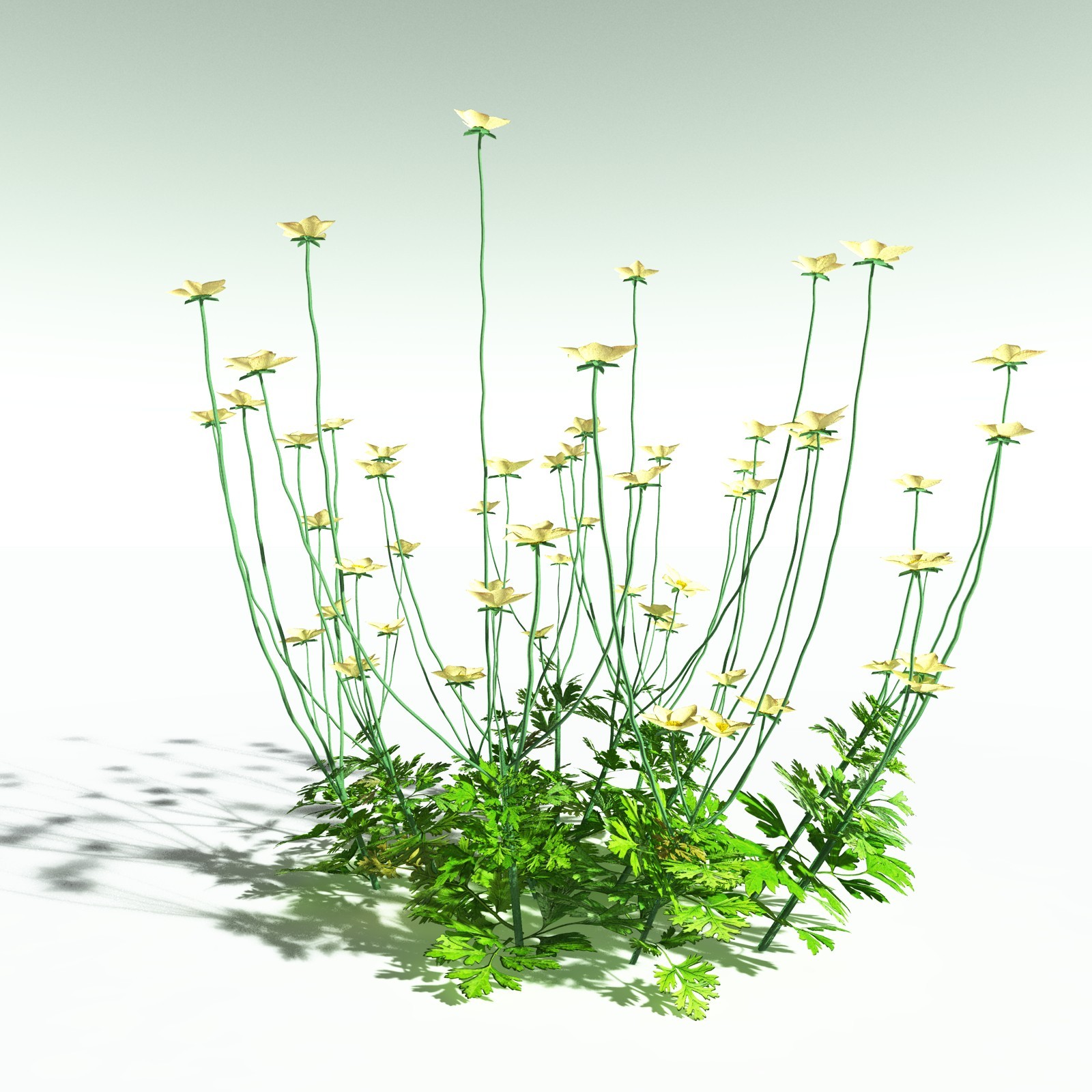 EVERYPlant Redwood Forest Biome for Poser by N/A