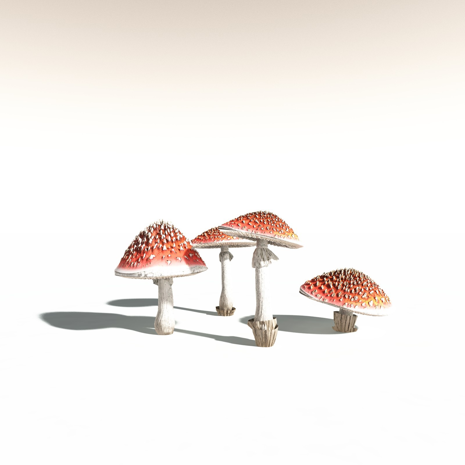 EVERYPlant Fly Agaric for Daz by N/A