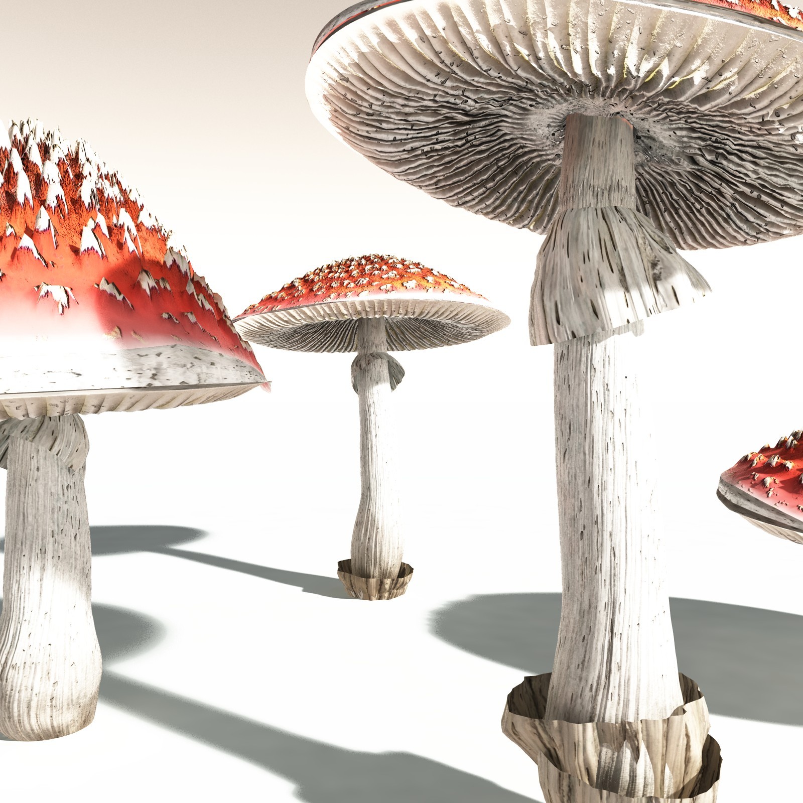 EVERYPlant Fly Agaric for Daz by N/A