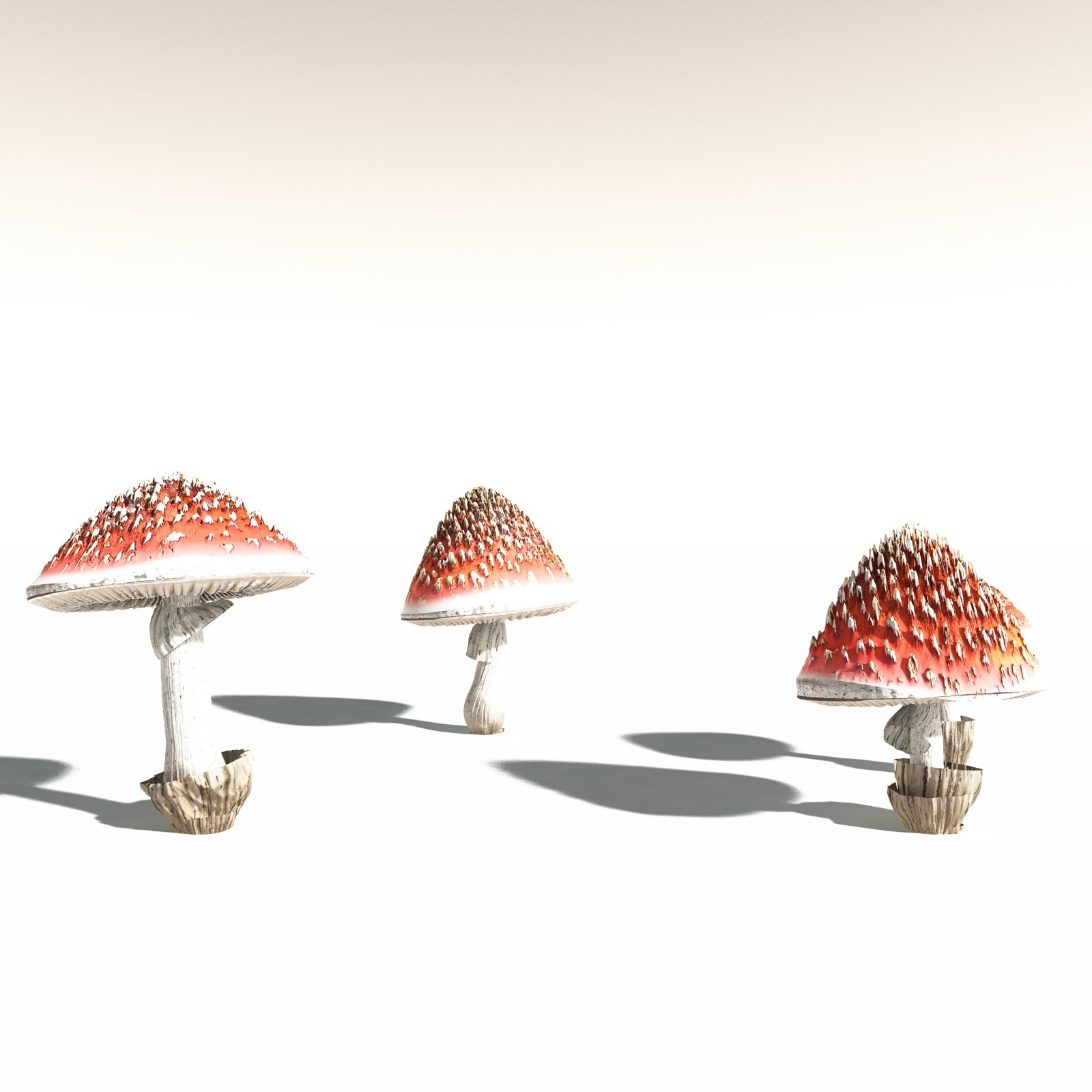 EVERYPlant Fly Agaric for Daz by N/A