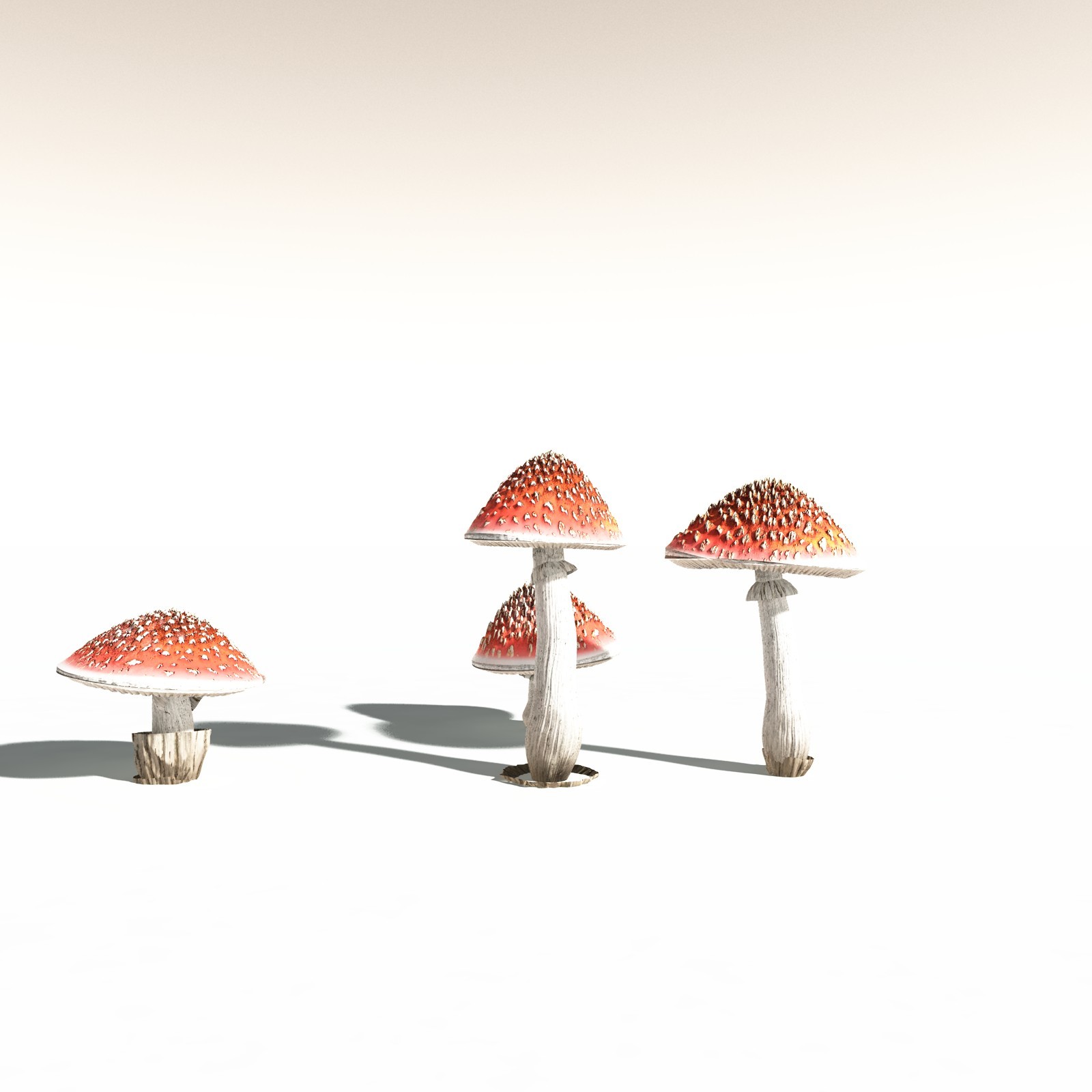 EVERYPlant Fly Agaric for Daz by N/A