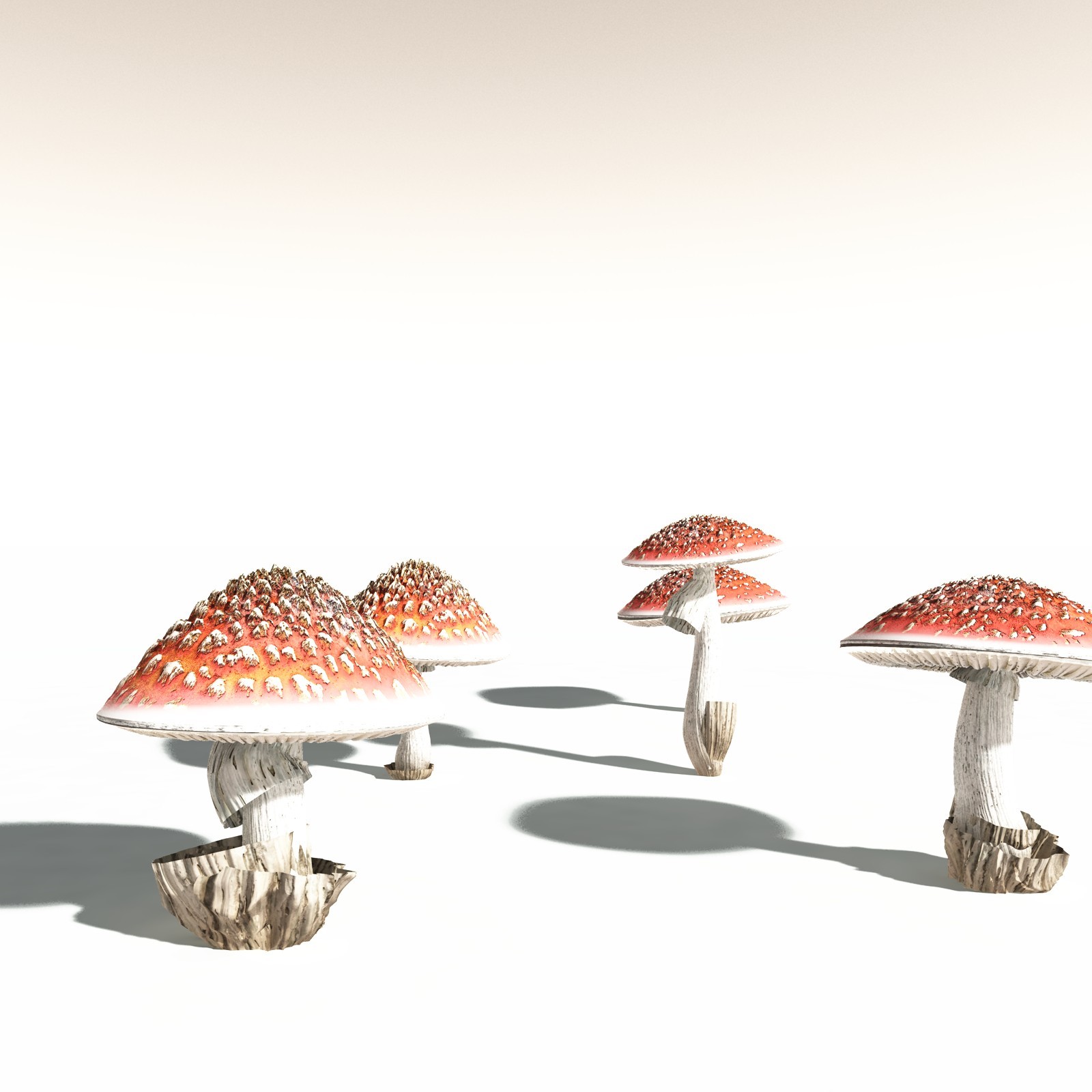 EVERYPlant Fly Agaric for Daz by N/A