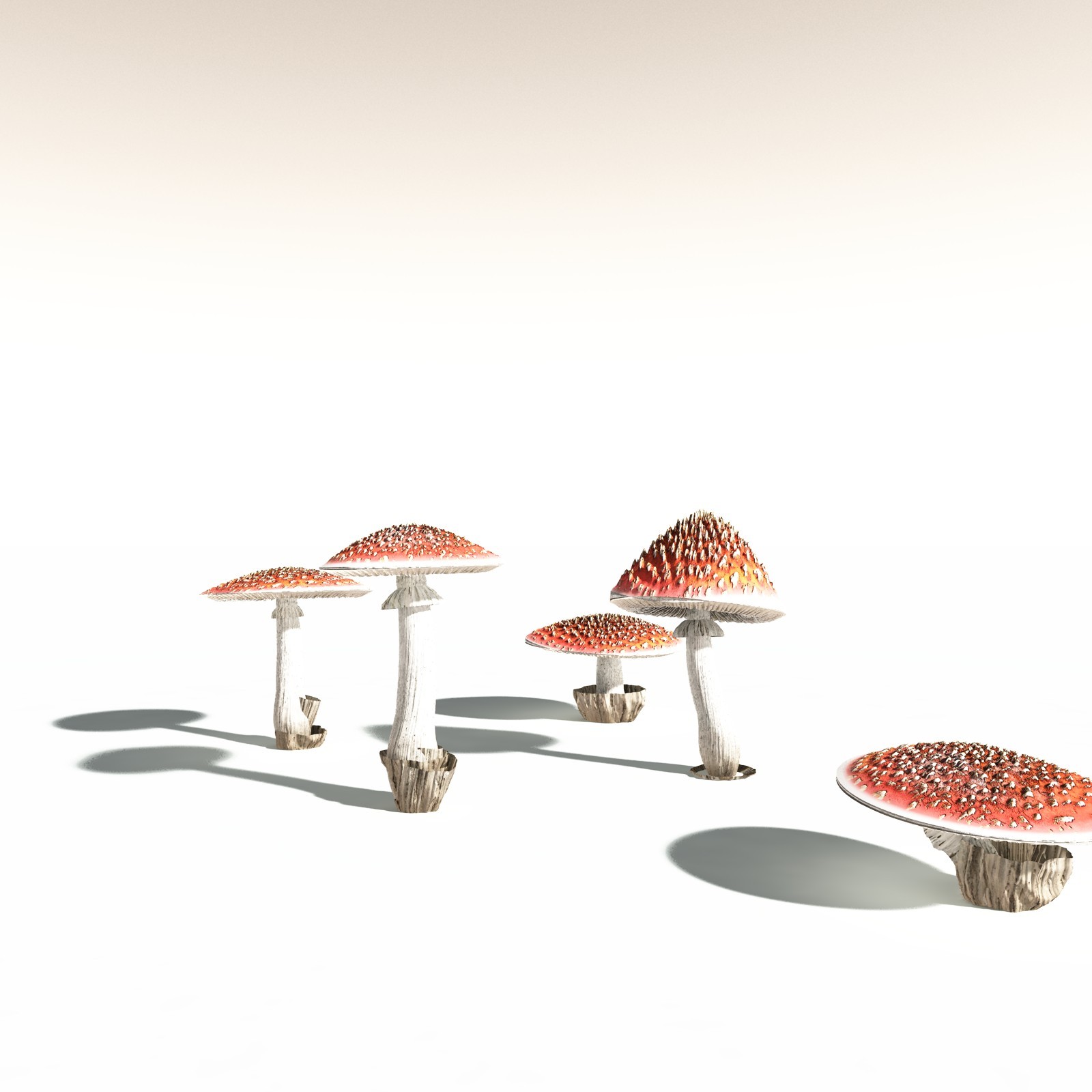 EVERYPlant Fly Agaric for Daz by N/A