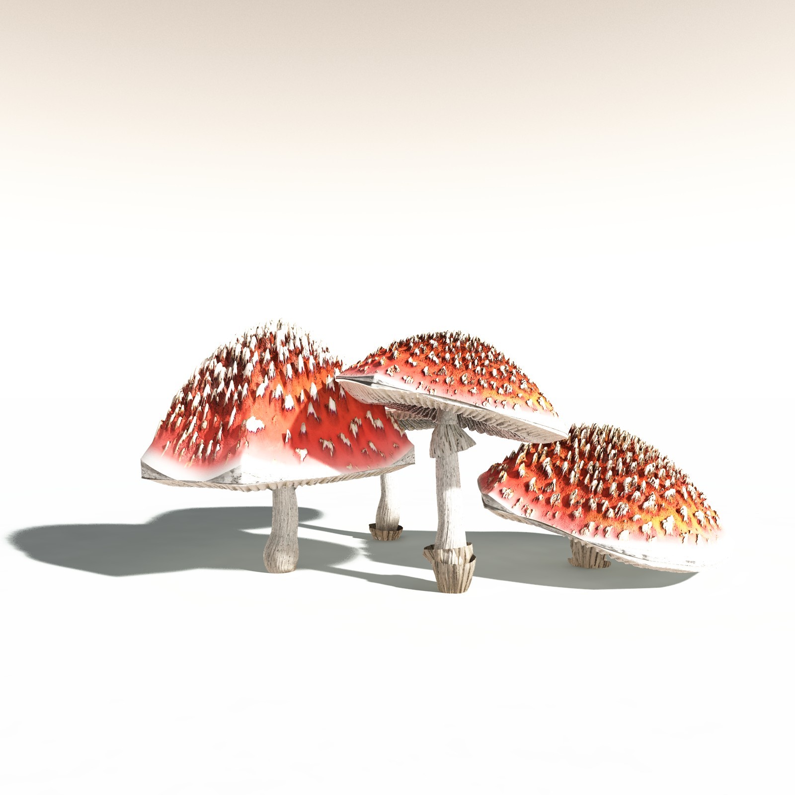 EVERYPlant Fly Agaric for Daz by N/A
