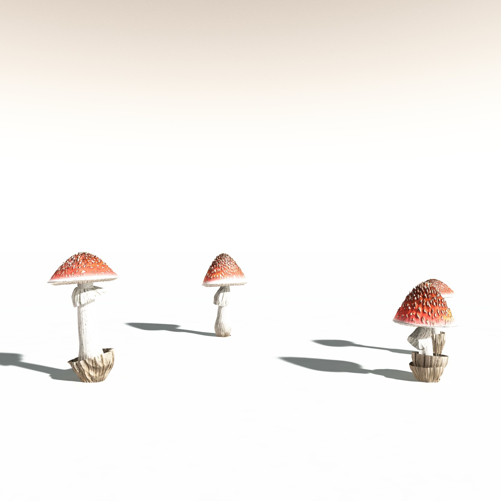 EVERYPlant Fly Agaric for Daz by N/A