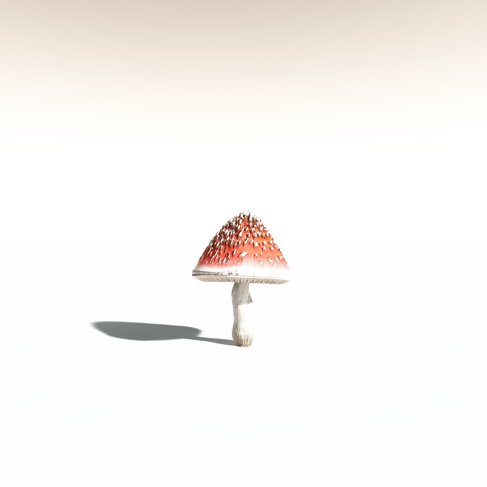 EVERYPlant Fly Agaric for Daz by N/A