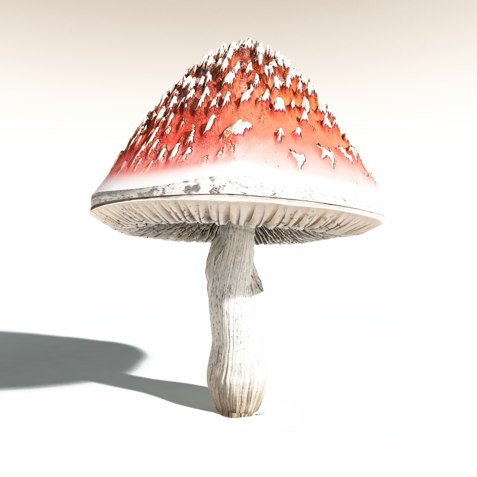 EVERYPlant Fly Agaric for Daz by N/A