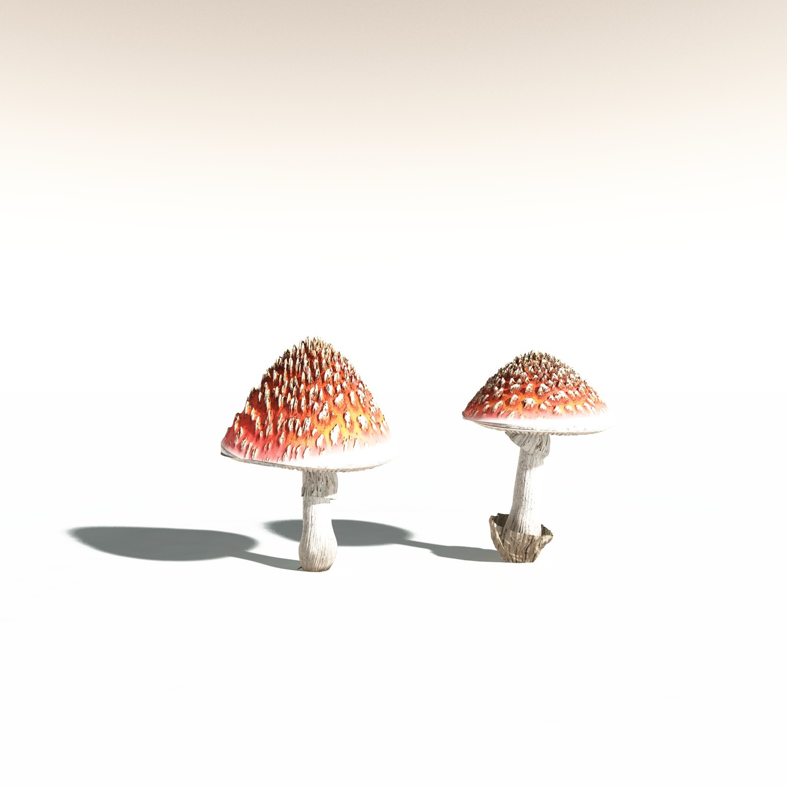 EVERYPlant Fly Agaric for Daz by N/A