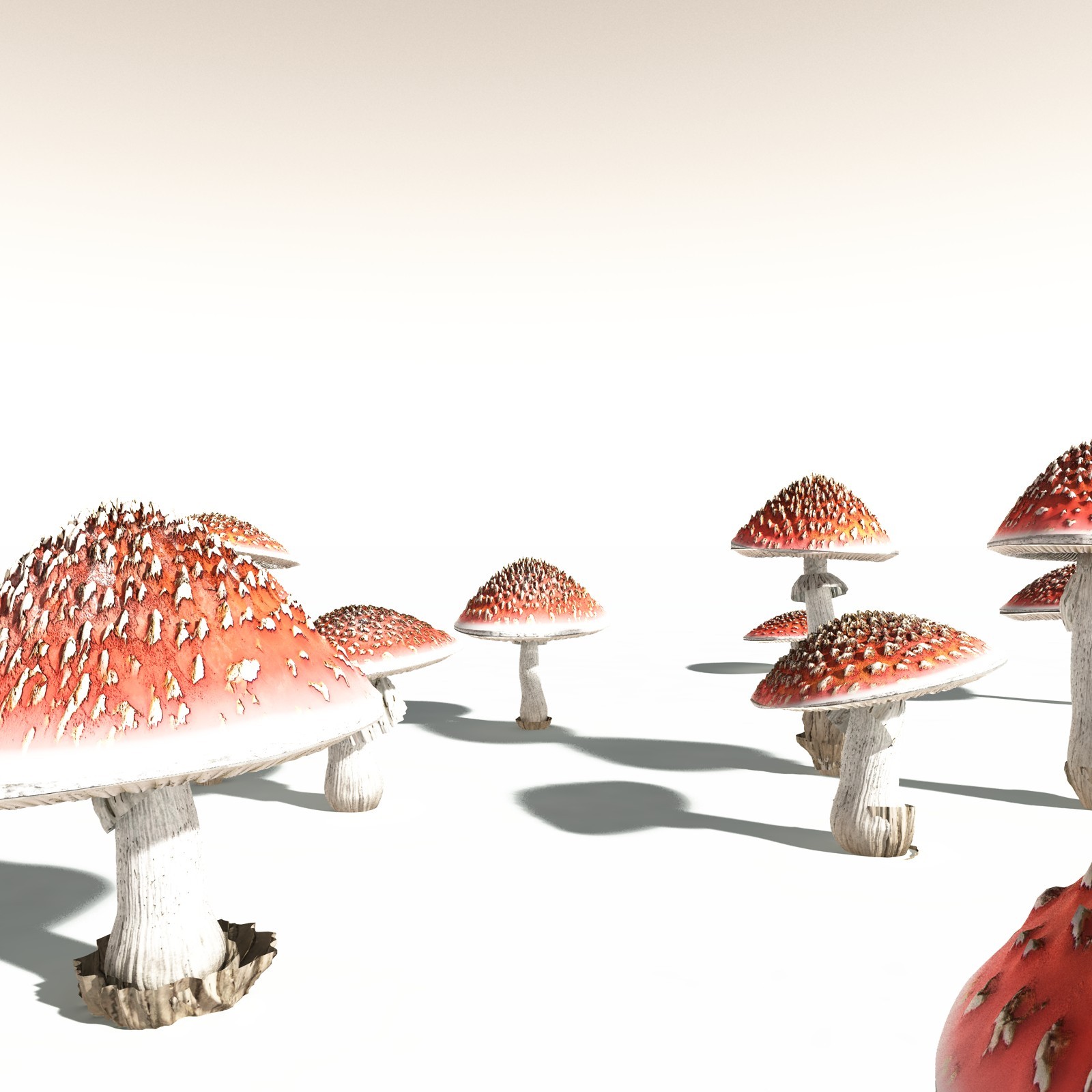 EVERYPlant Fly Agaric for Daz by N/A