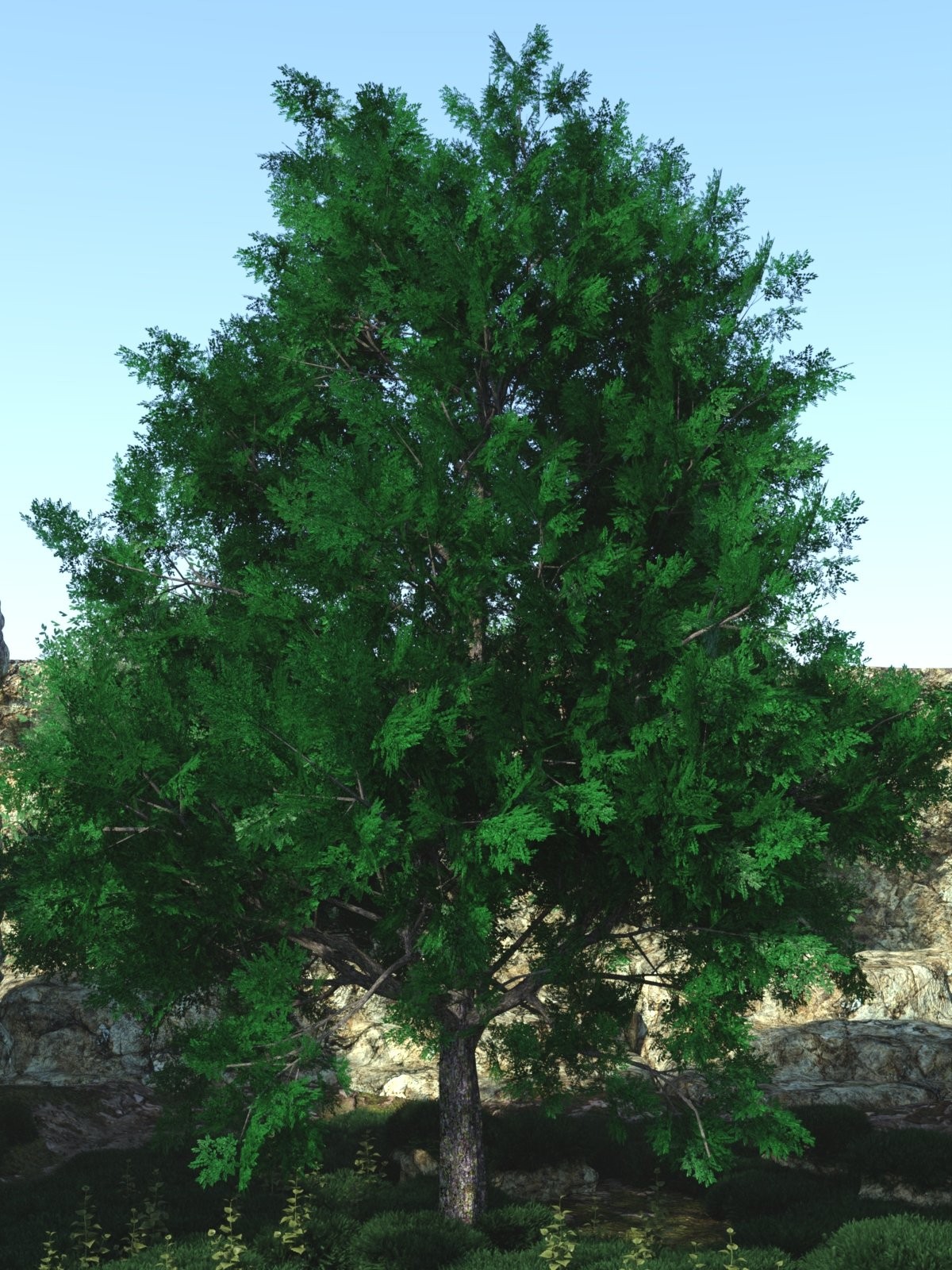 DazTree by N/A