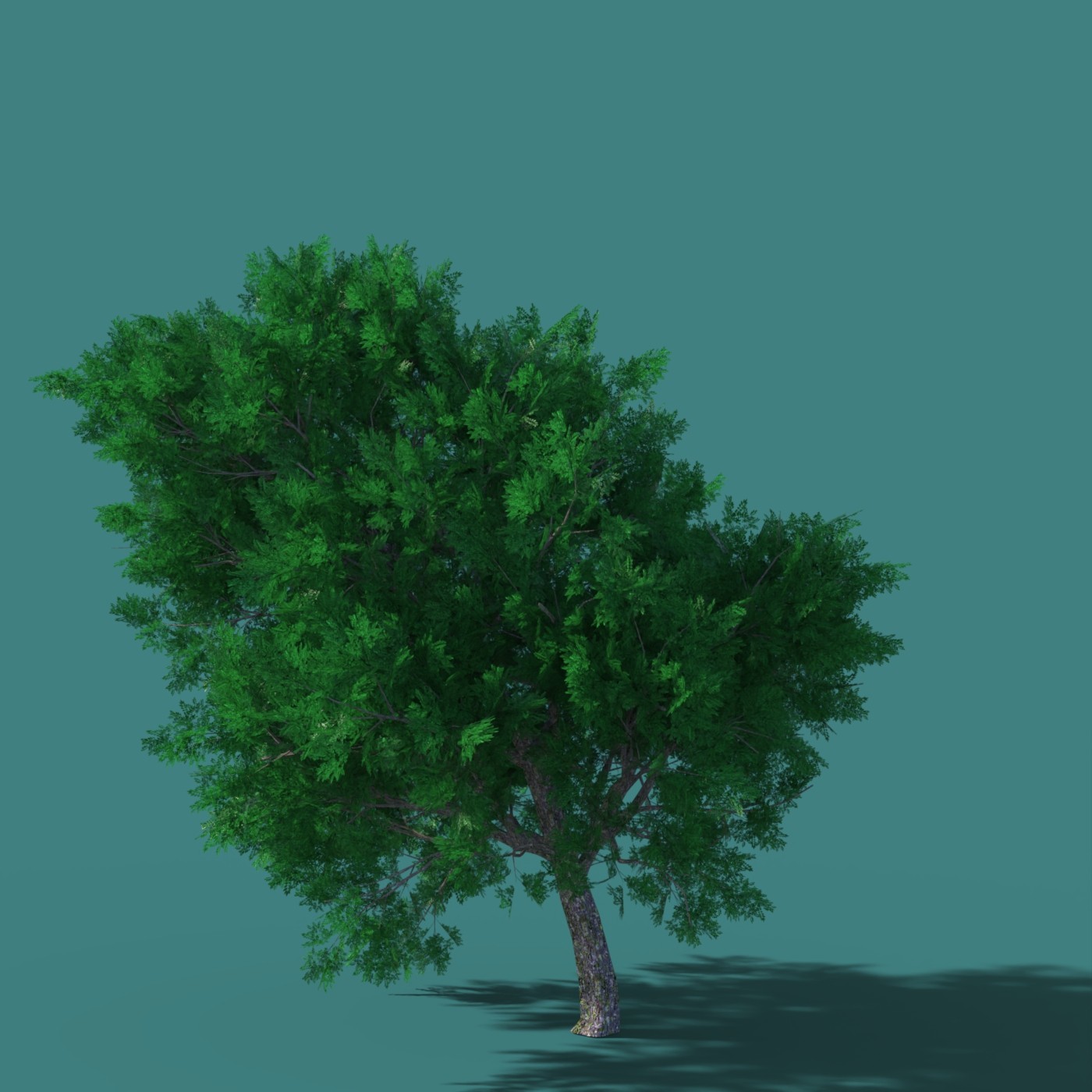 DazTree by N/A
