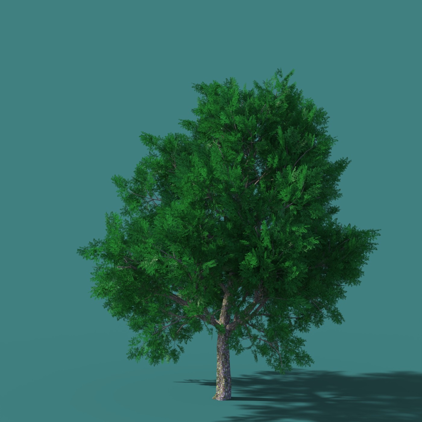 DazTree by N/A
