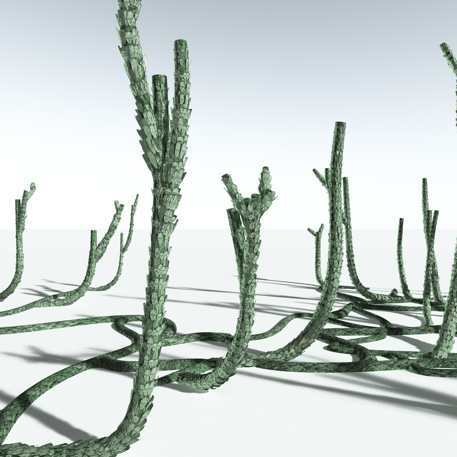 EVERYPlant Asteroxylon Mackiei for Vue by N/A