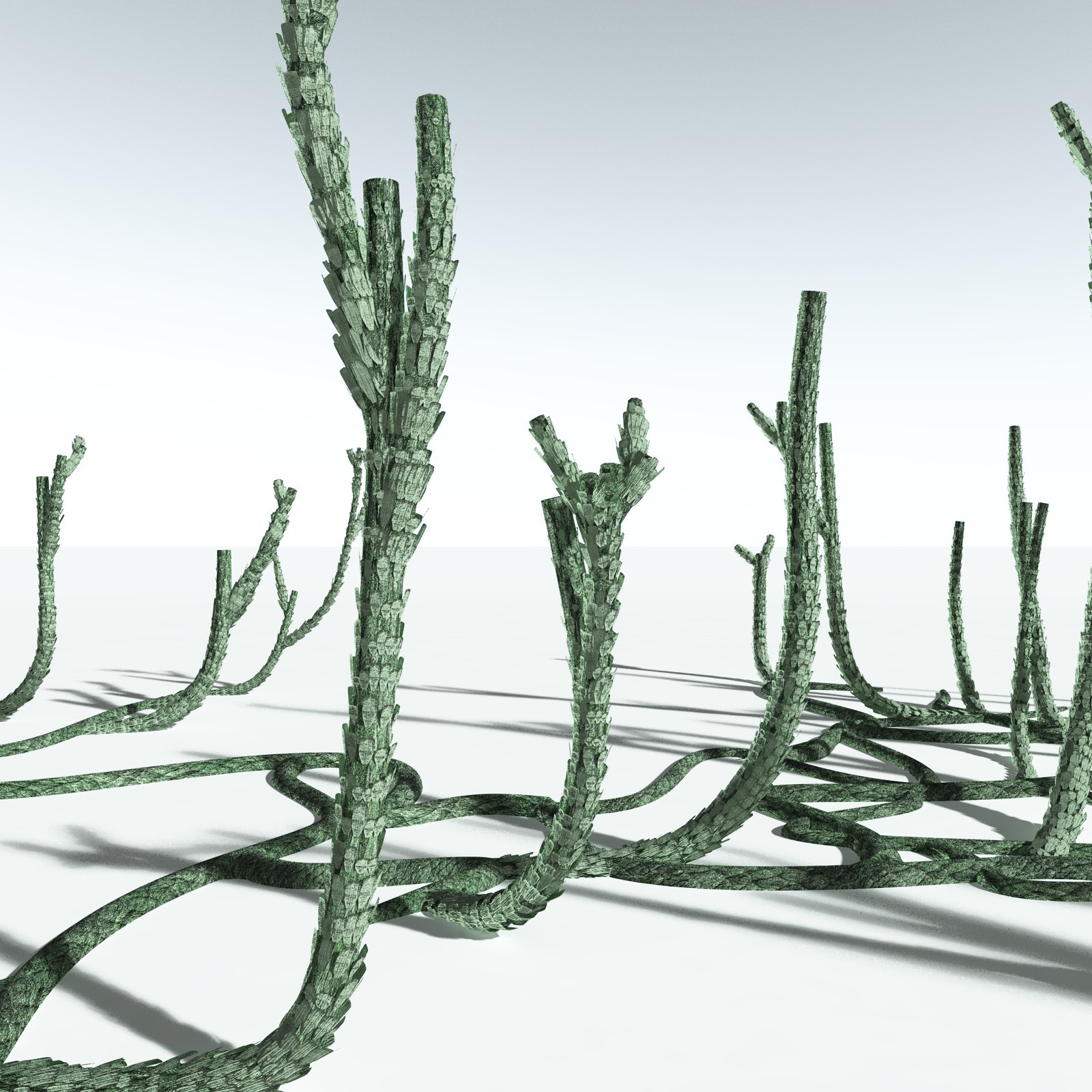EVERYPlant Asteroxylon Mackiei for Vue by N/A