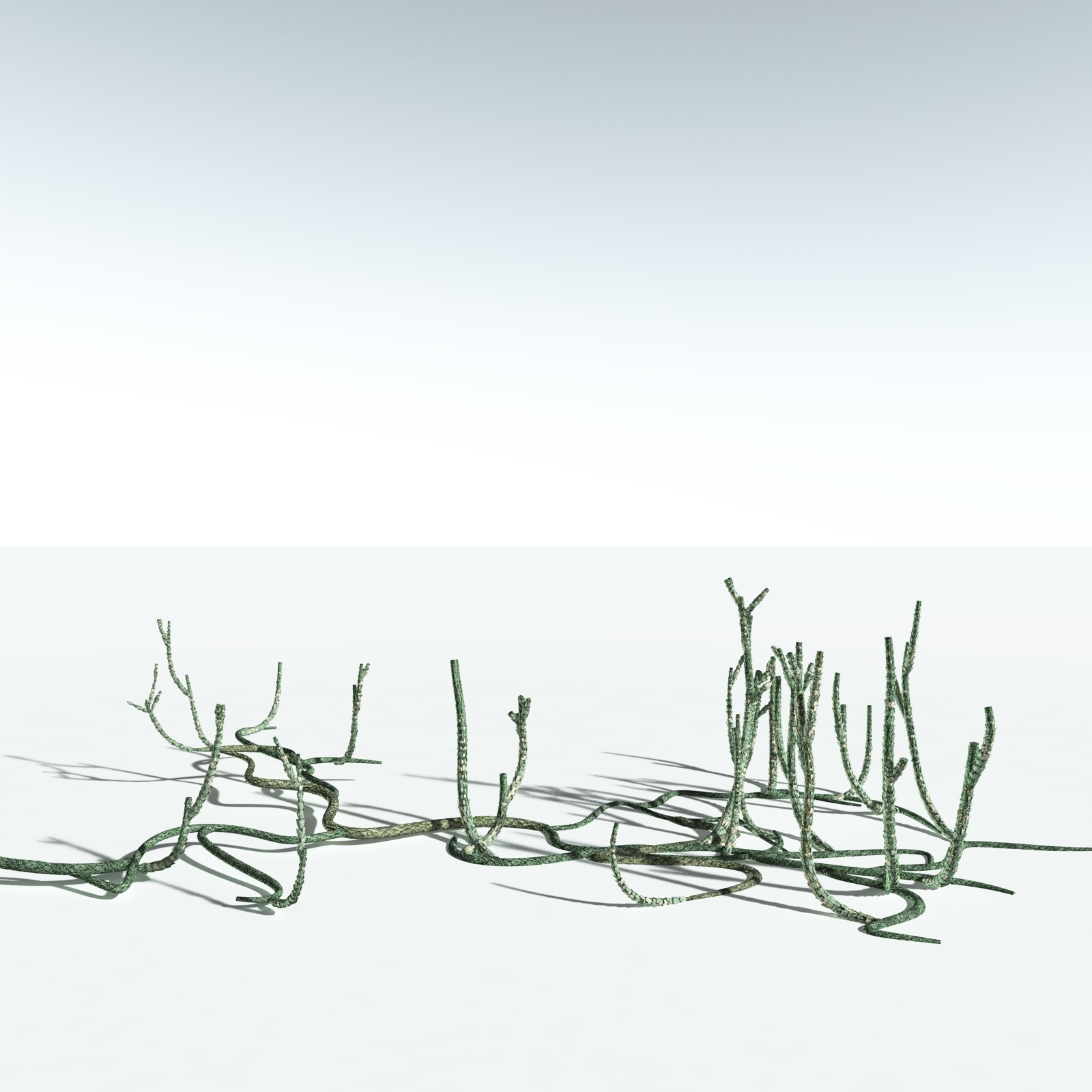 EVERYPlant Asteroxylon Mackiei for Vue by N/A