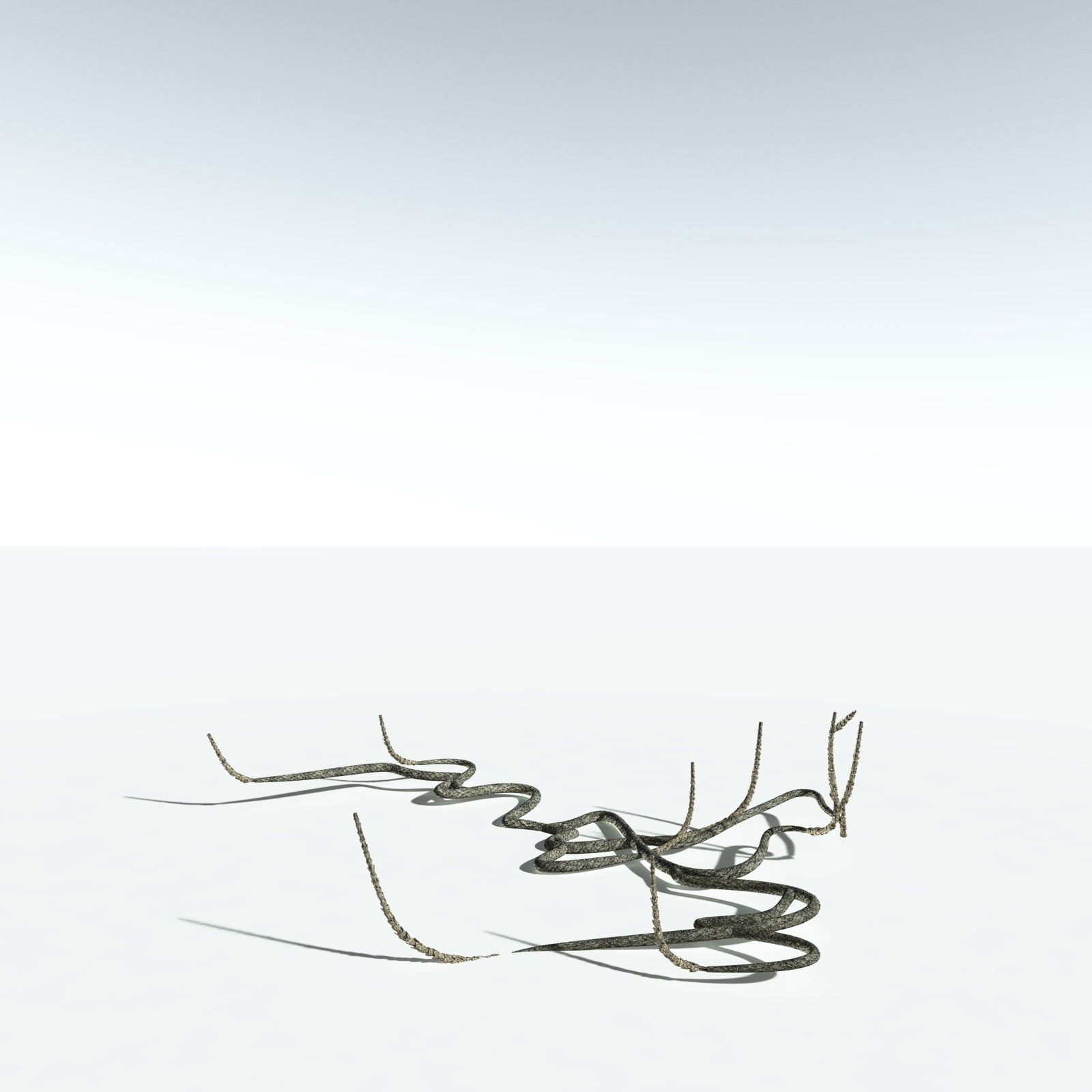 EVERYPlant Asteroxylon Mackiei for Vue by N/A