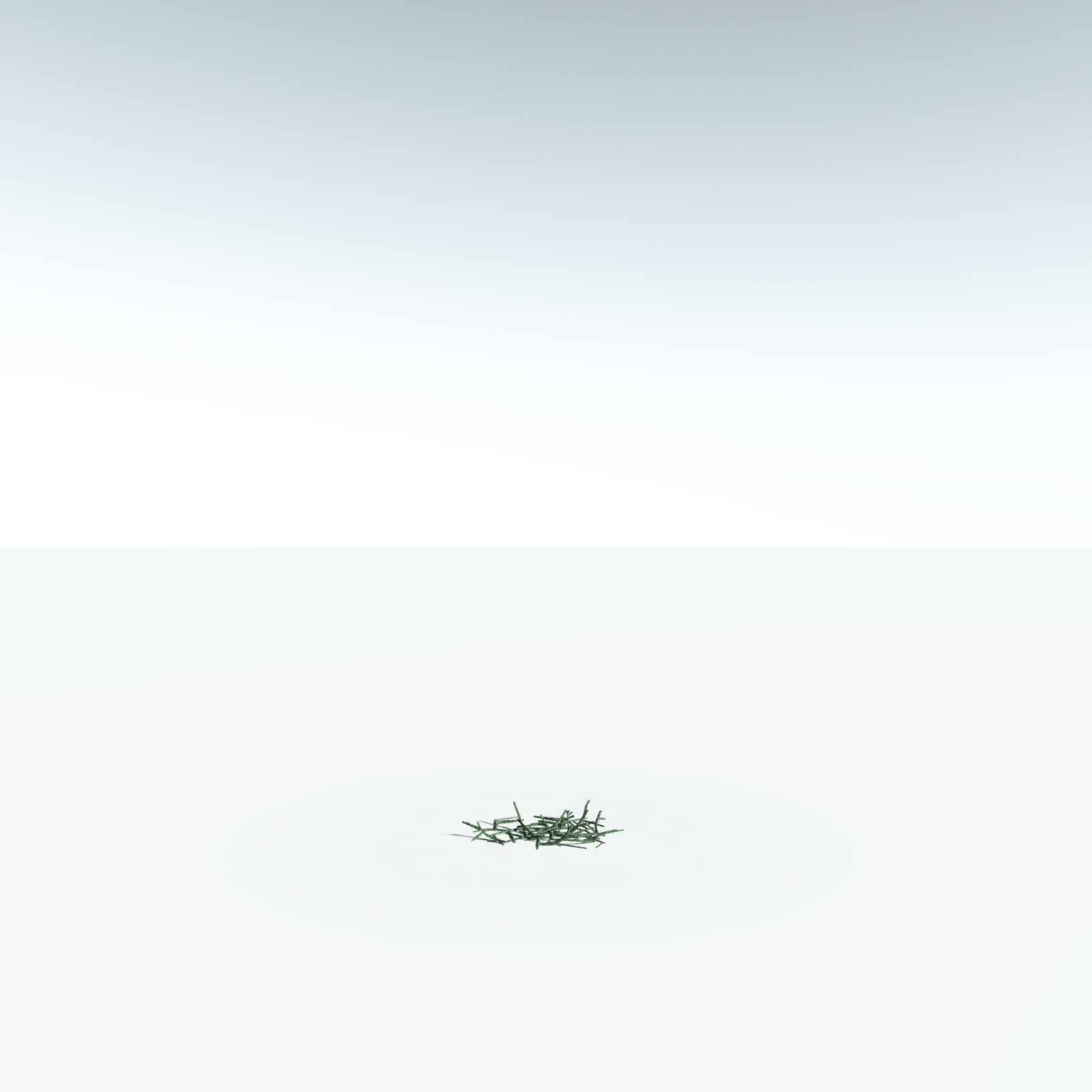 EVERYPlant Asteroxylon Mackiei for Vue by N/A