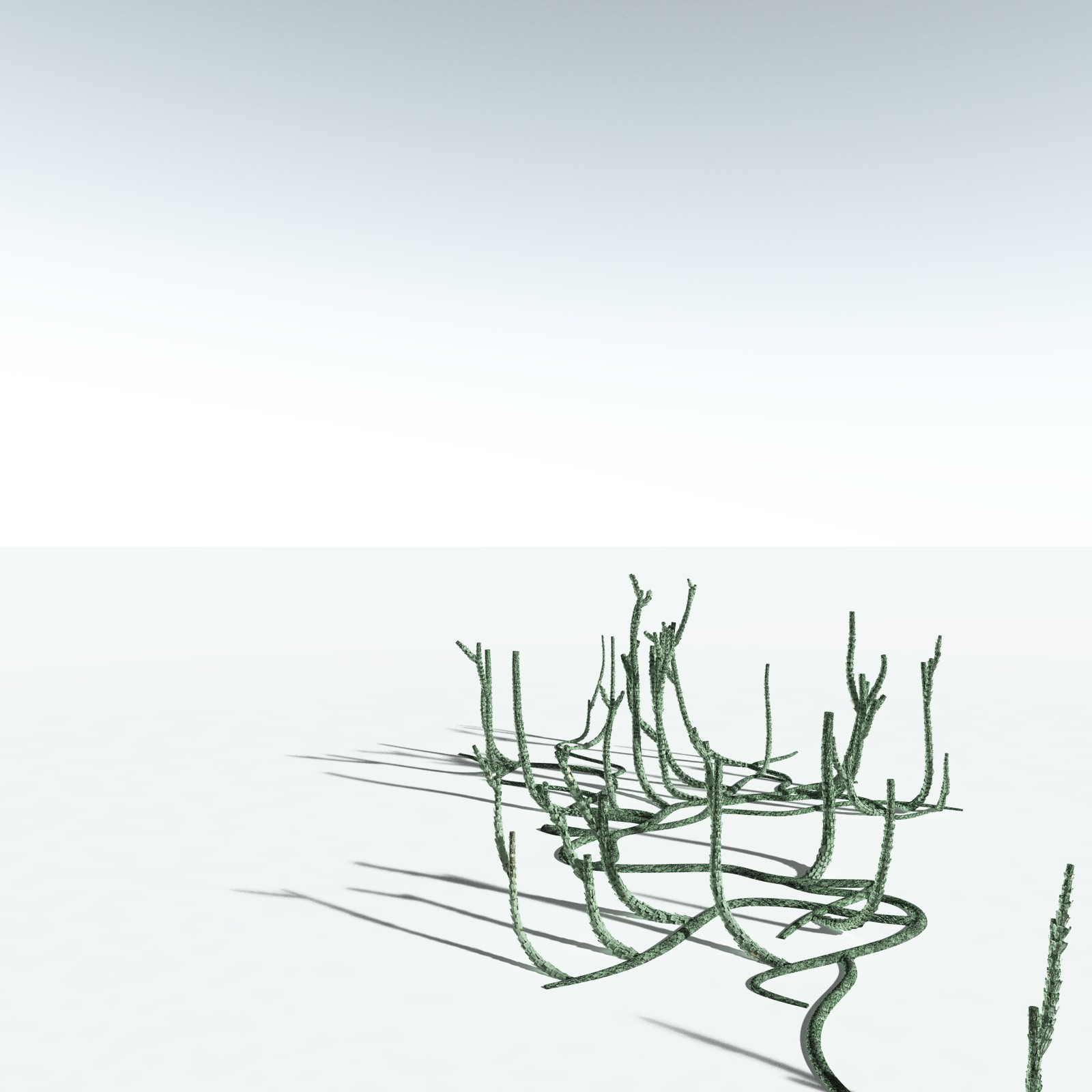 EVERYPlant Asteroxylon Mackiei for Vue by N/A