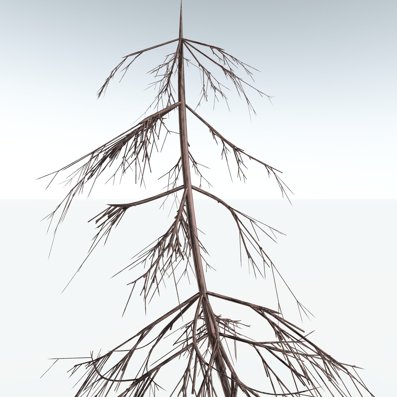 EVERYPlant Elkinsia Polymorpha for Vue by N/A