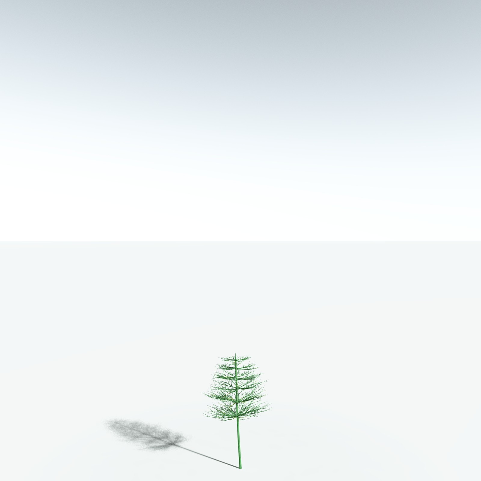 EVERYPlant Elkinsia Polymorpha for Vue by N/A