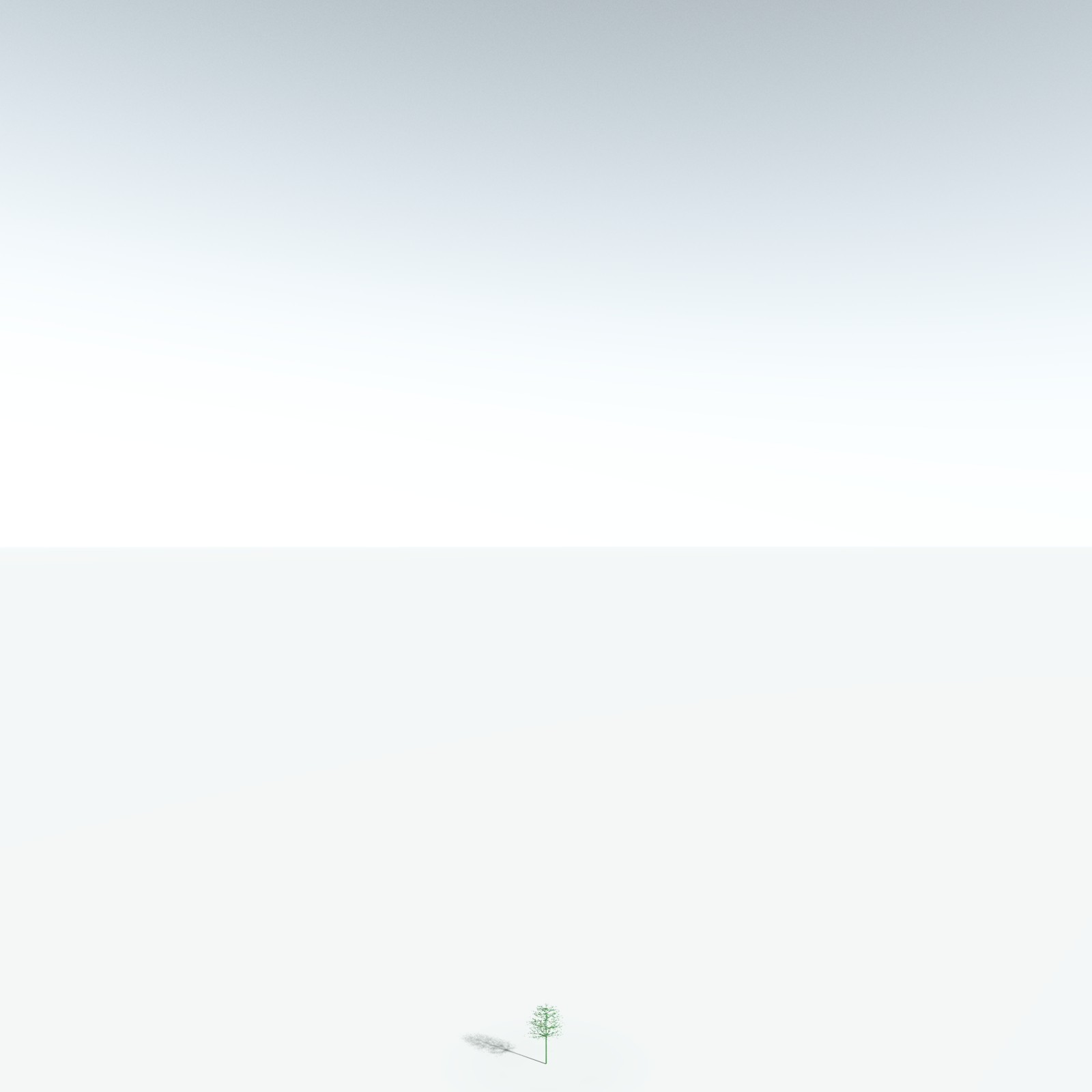 EVERYPlant Elkinsia Polymorpha for Vue by N/A