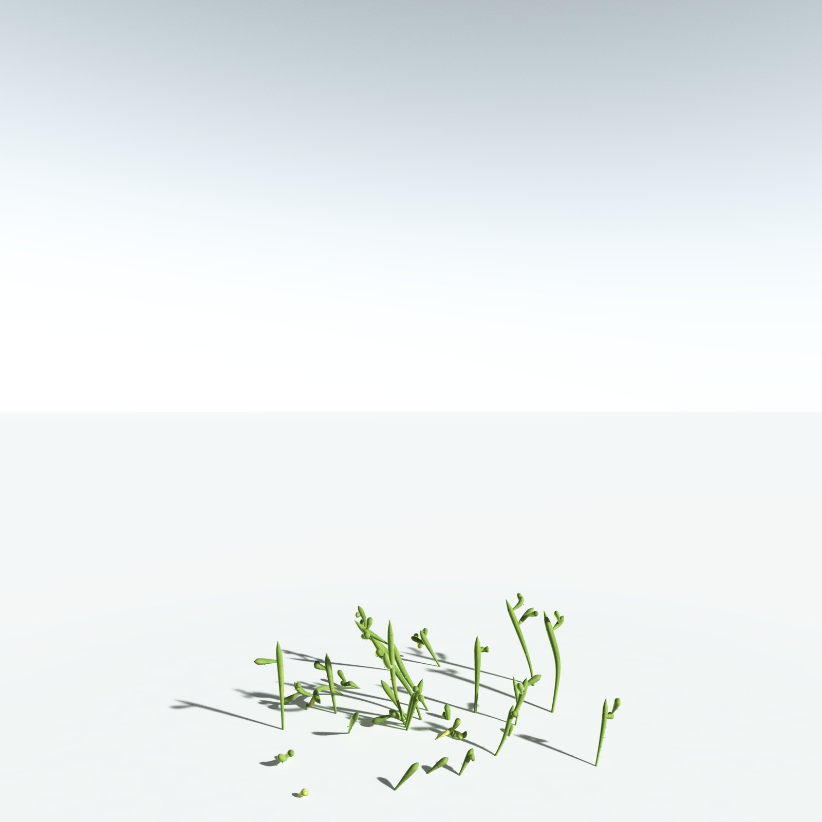 EVERYPlant Leclercqia Uncinata for Vue by N/A