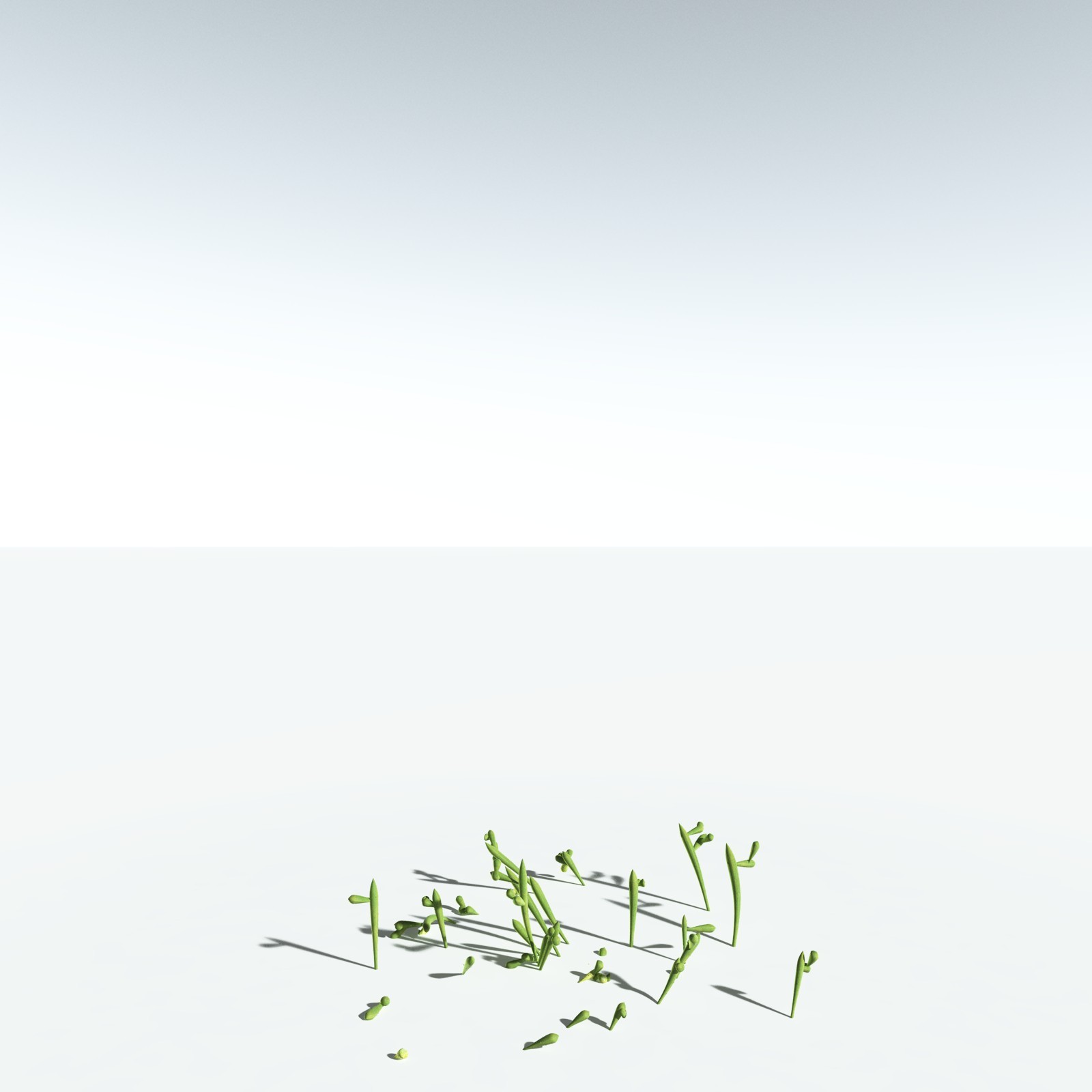 EVERYPlant Leclercqia Uncinata for Vue by N/A