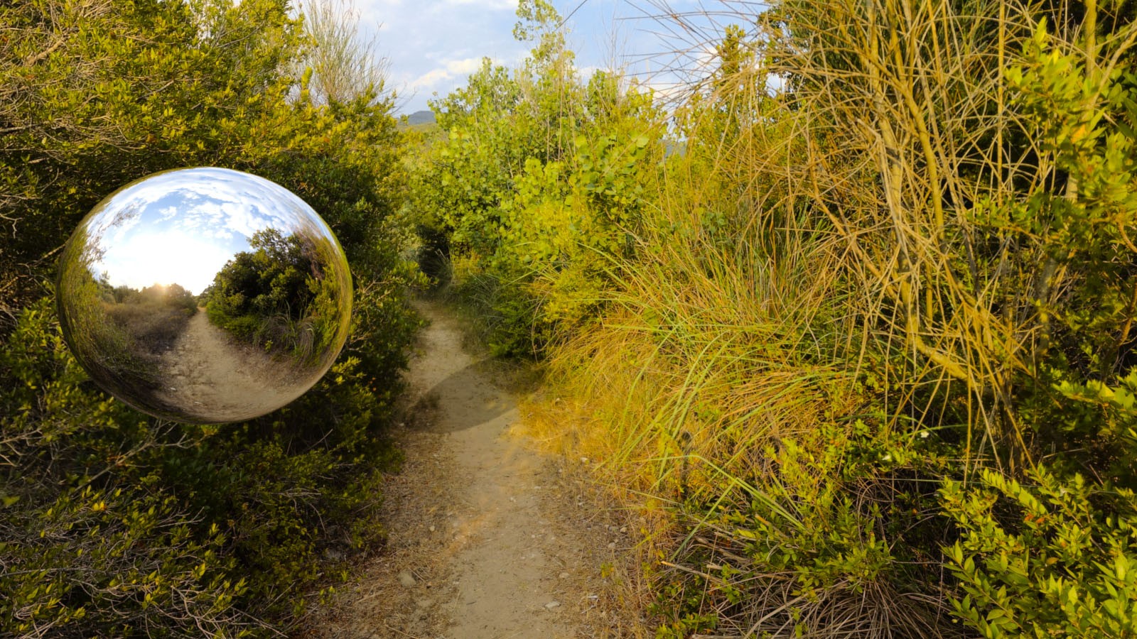 Beach Paths 16K HDRIs by N/A