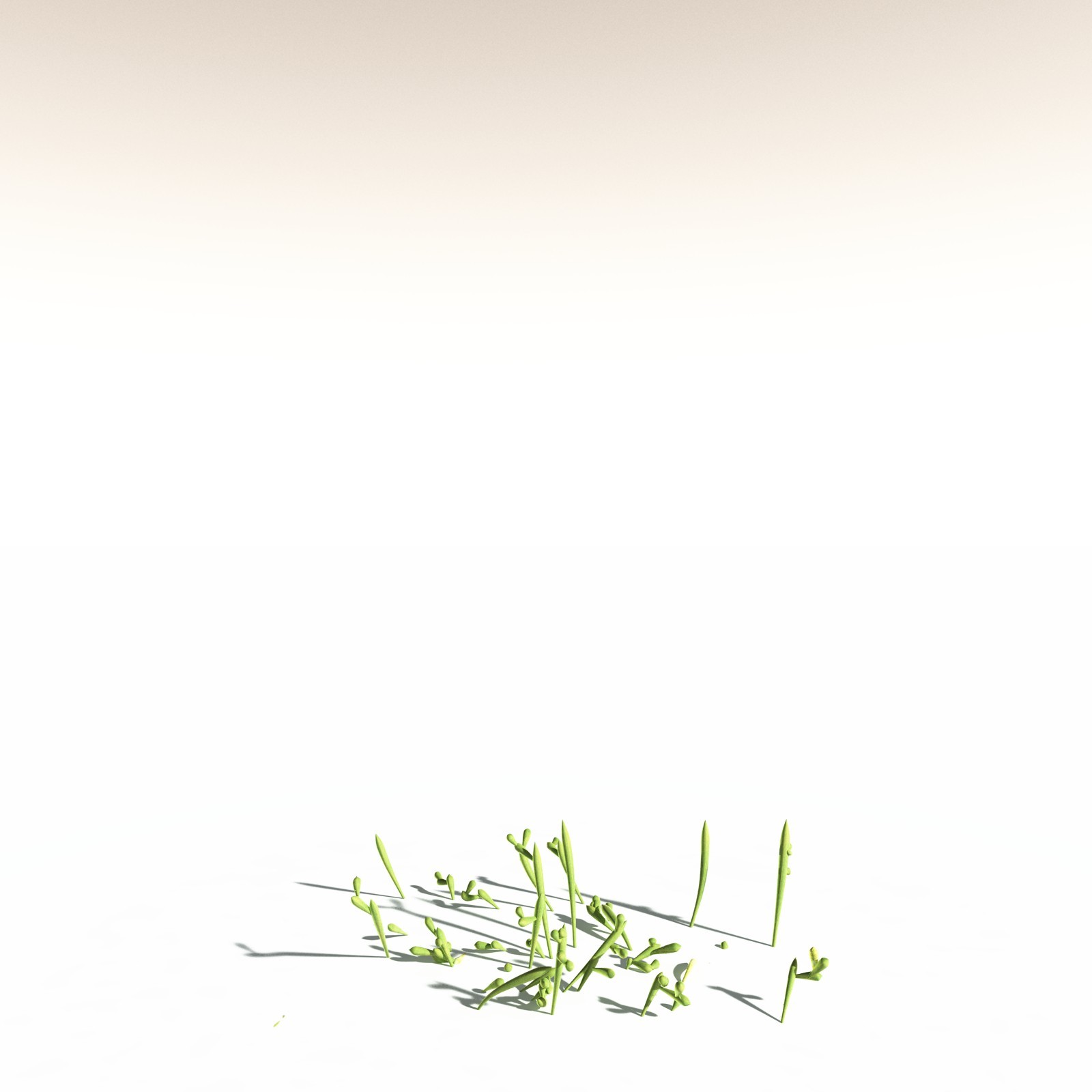 EVERYPlant Leclercqia Uncinata for Daz by N/A