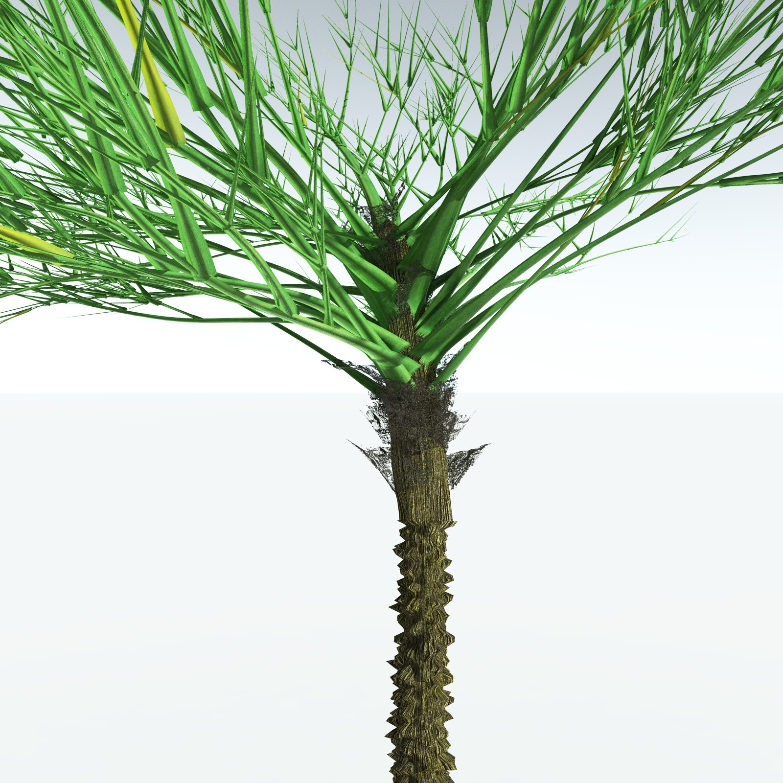 EVERYPlant Pseudosporochnus Verticillatus for Vue by N/A