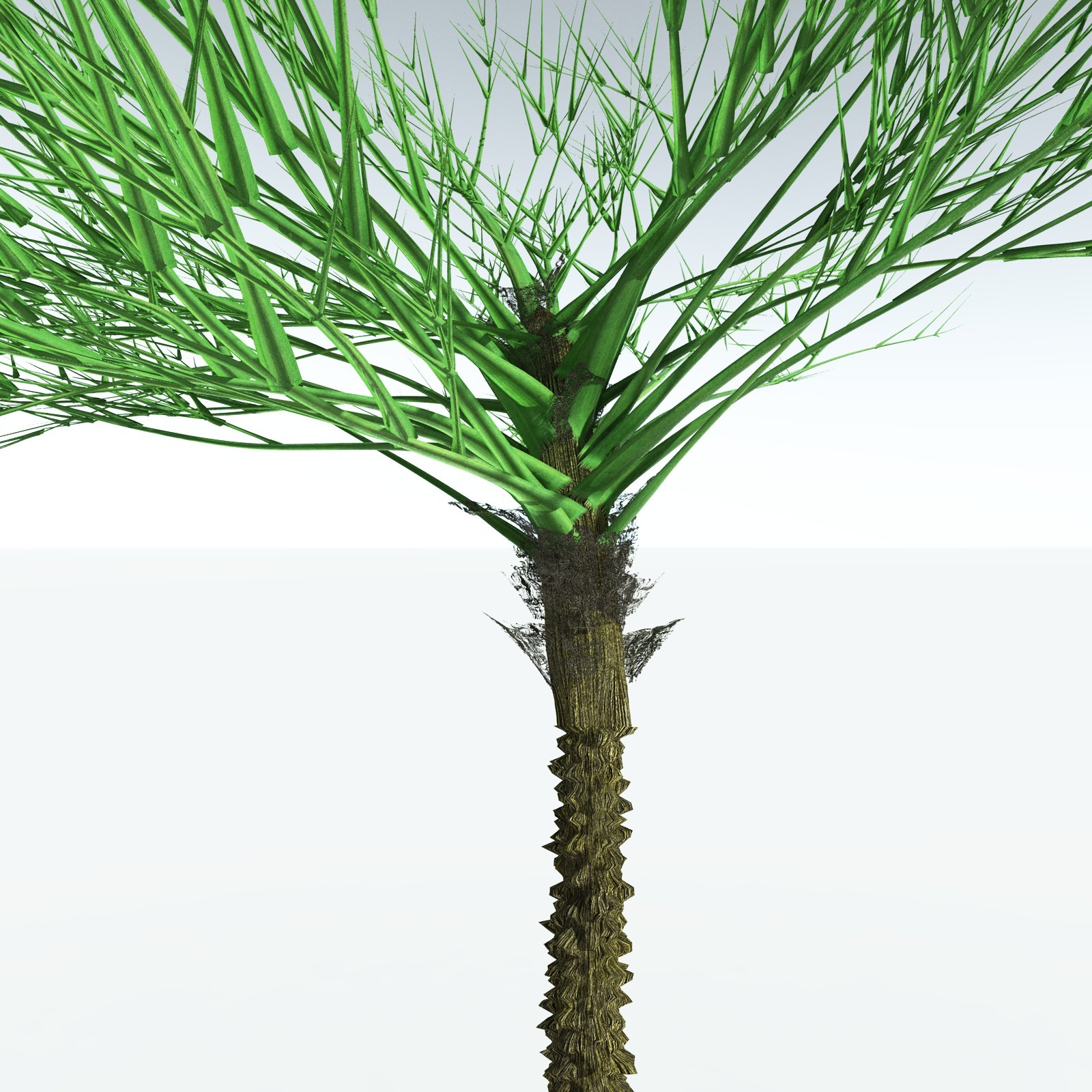 EVERYPlant Pseudosporochnus Verticillatus for Vue by N/A