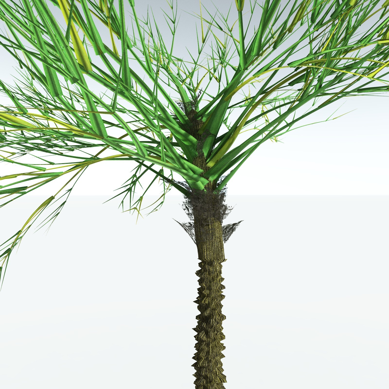 EVERYPlant Pseudosporochnus Verticillatus for Vue by N/A