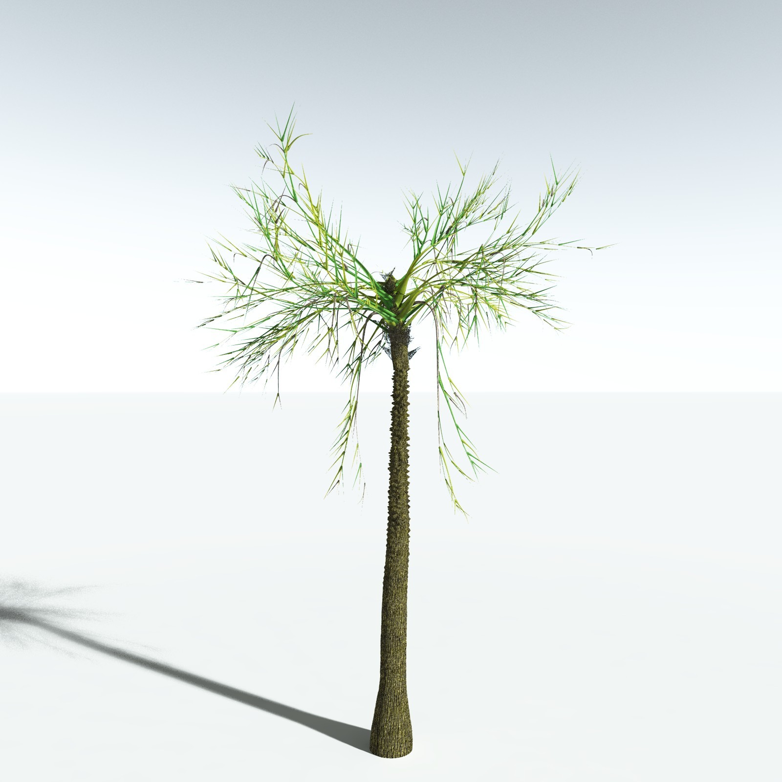 EVERYPlant Pseudosporochnus Verticillatus for Vue by N/A