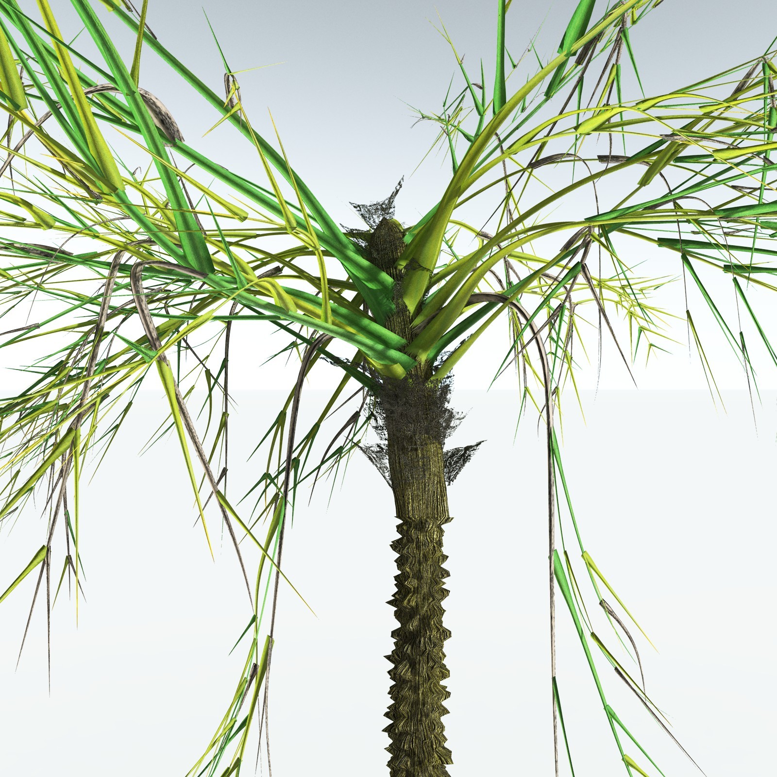 EVERYPlant Pseudosporochnus Verticillatus for Vue by N/A