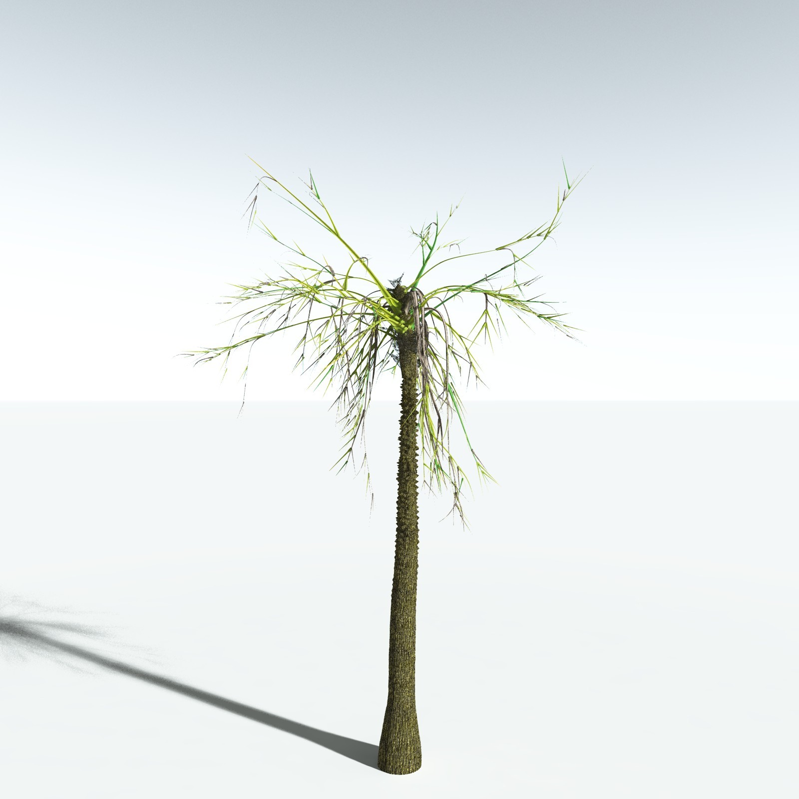 EVERYPlant Pseudosporochnus Verticillatus for Vue by N/A