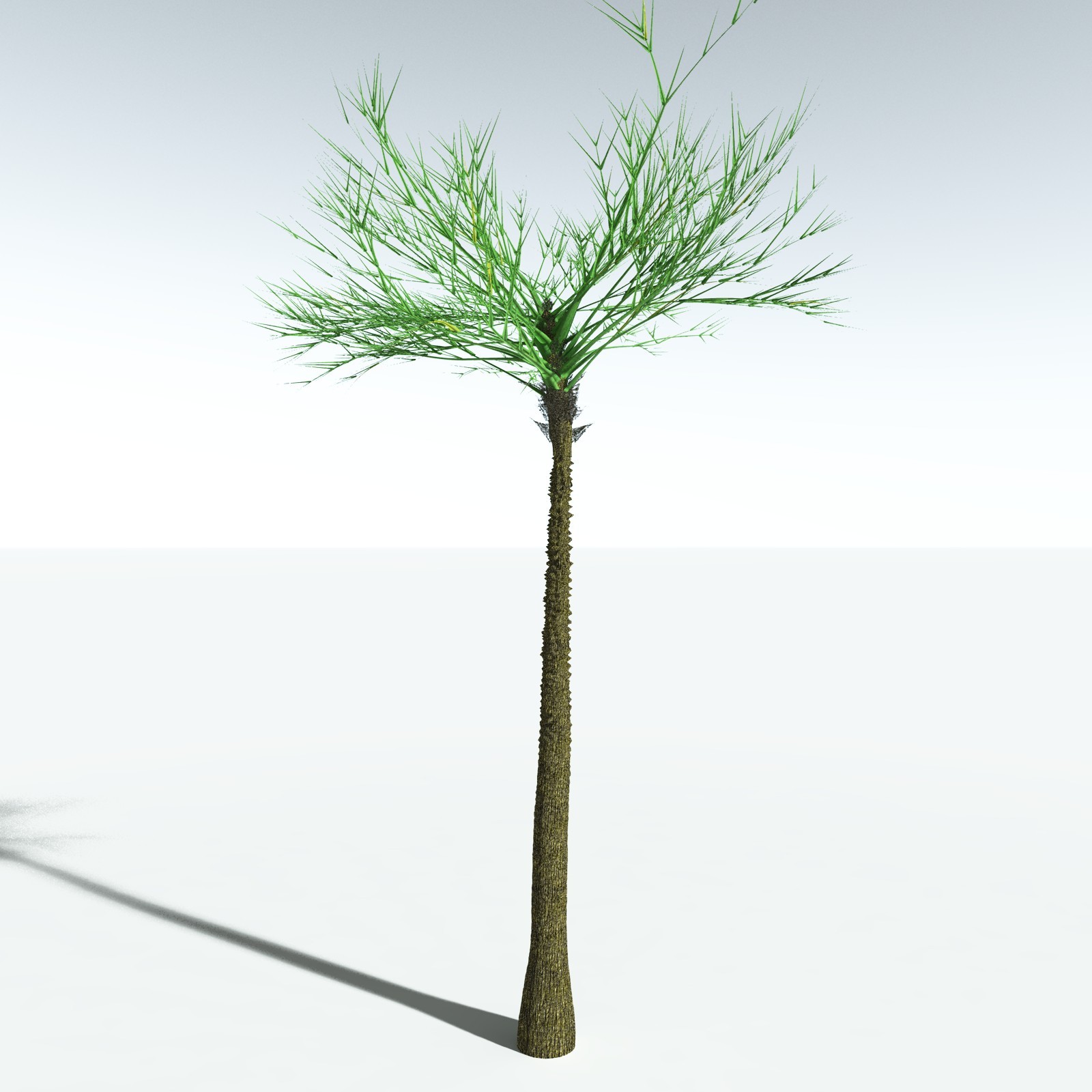 EVERYPlant Pseudosporochnus Verticillatus for Vue by N/A