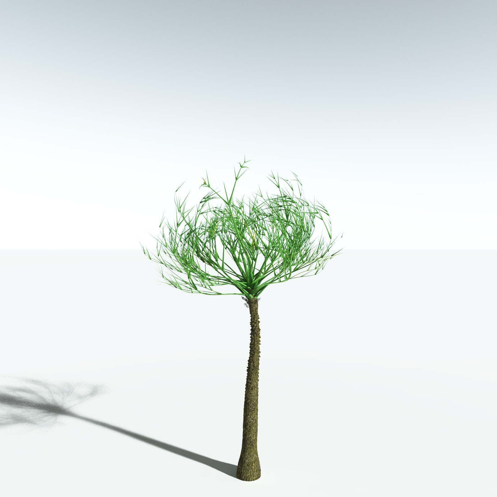 EVERYPlant Pseudosporochnus Verticillatus for Vue by N/A
