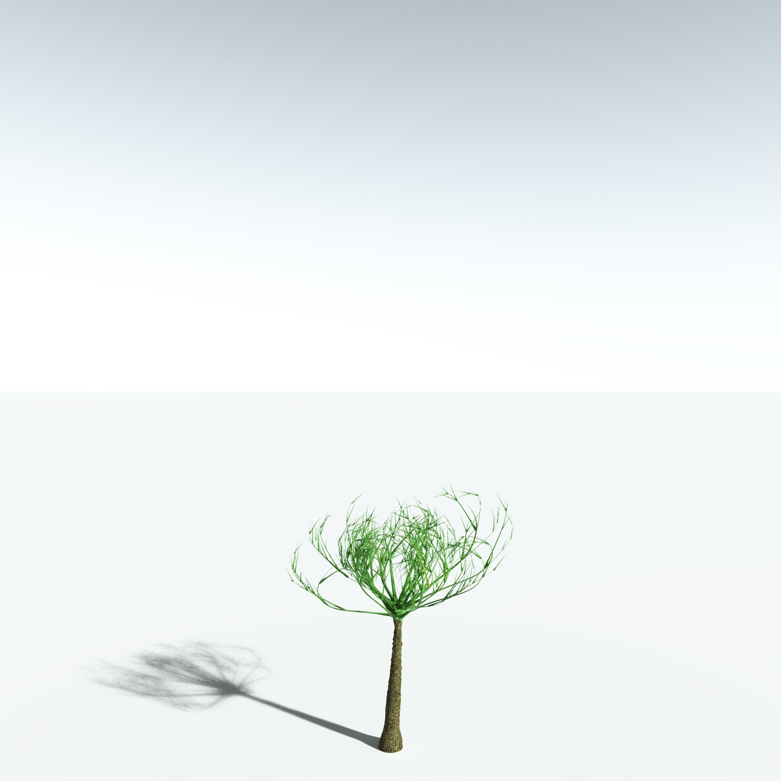 EVERYPlant Pseudosporochnus Verticillatus for Vue by N/A