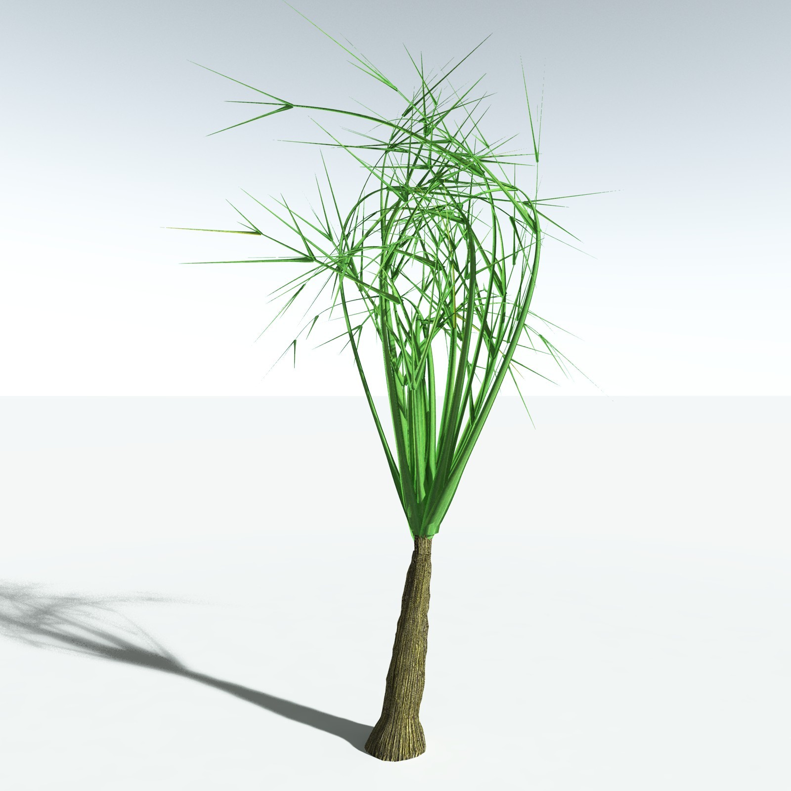 EVERYPlant Pseudosporochnus Verticillatus for Vue by N/A